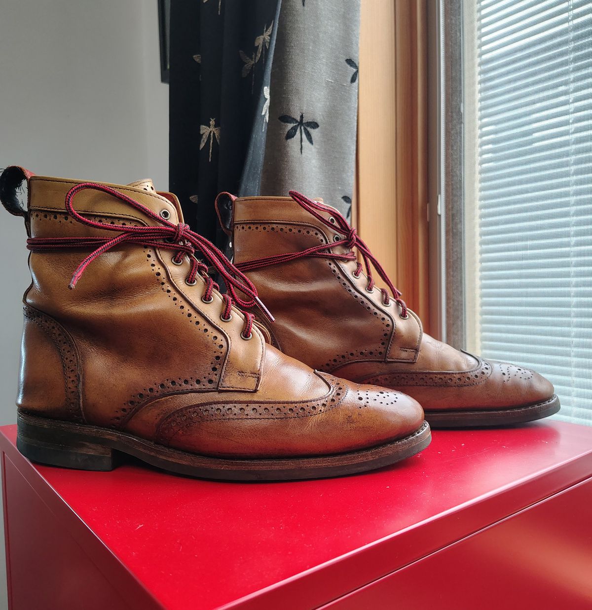 Photo by EMJ on March 4, 2026 of the Allen Edmonds Dalton Wingtip Dress Boot in Walnut Calfskin.