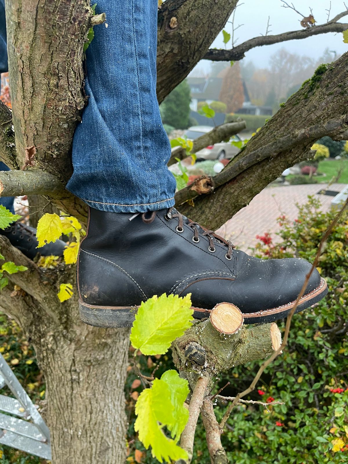 Photo by Jakob_Boots on November 10, 2025 of the Red Wing Blacksmith 3345 in S.B. Foot Black Prairie.