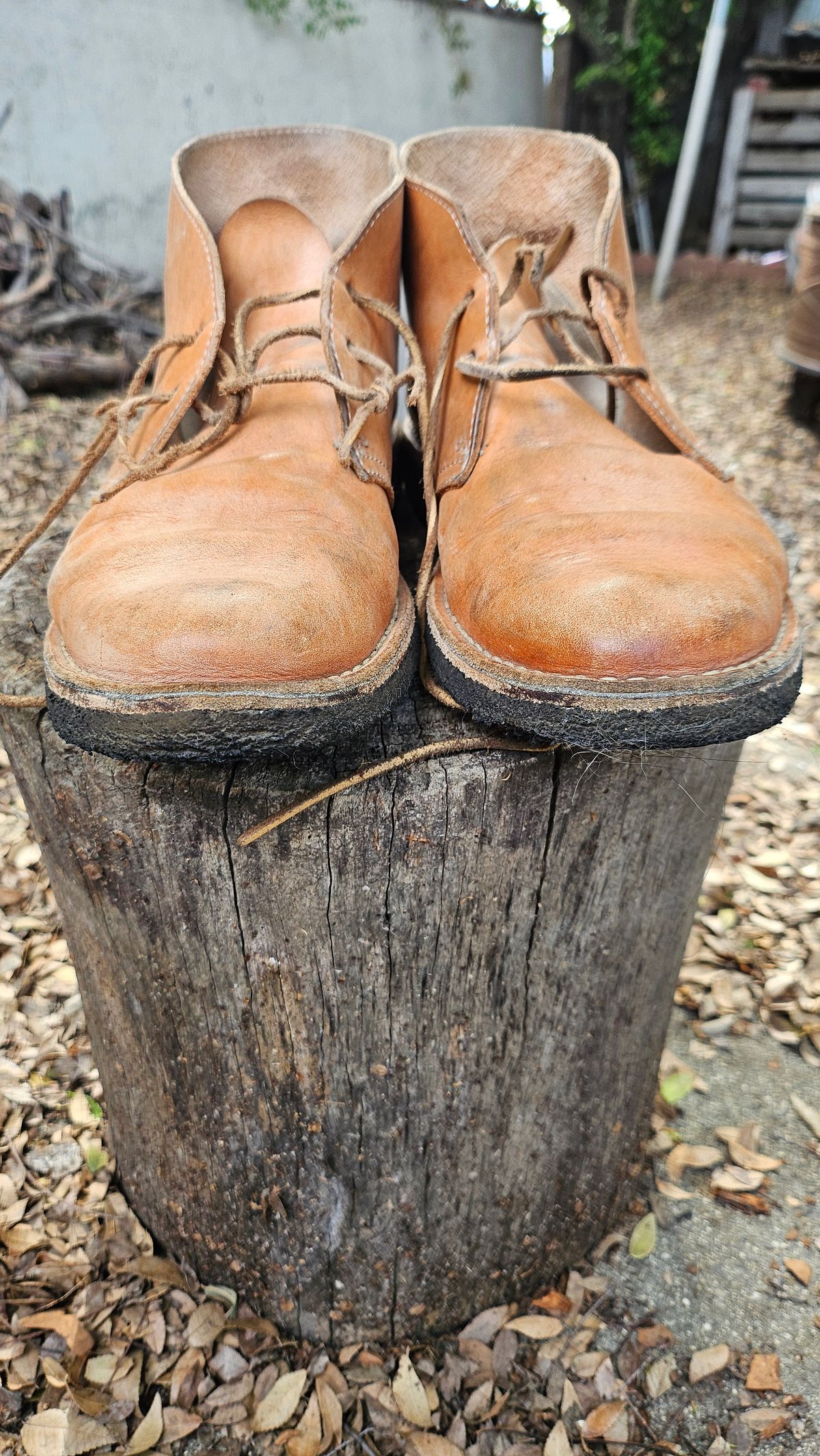 Photo by jackboot_jamstring on April 3, 2026 of the Clarks Desert Boot in Unknown Natural Veg Tan.
