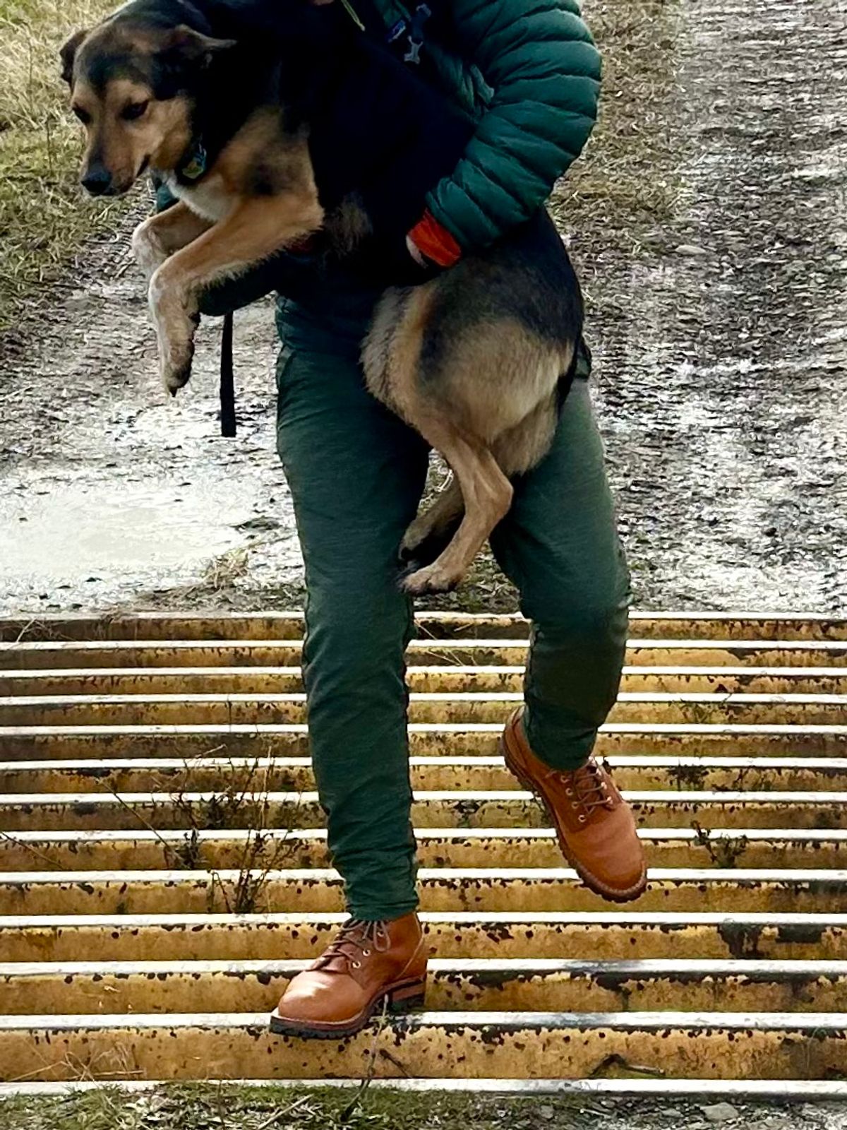 Photo by jdsw20 on December 27, 2025 of the Nicks Parkhurst V3 in Horween Light Natural Dublin.