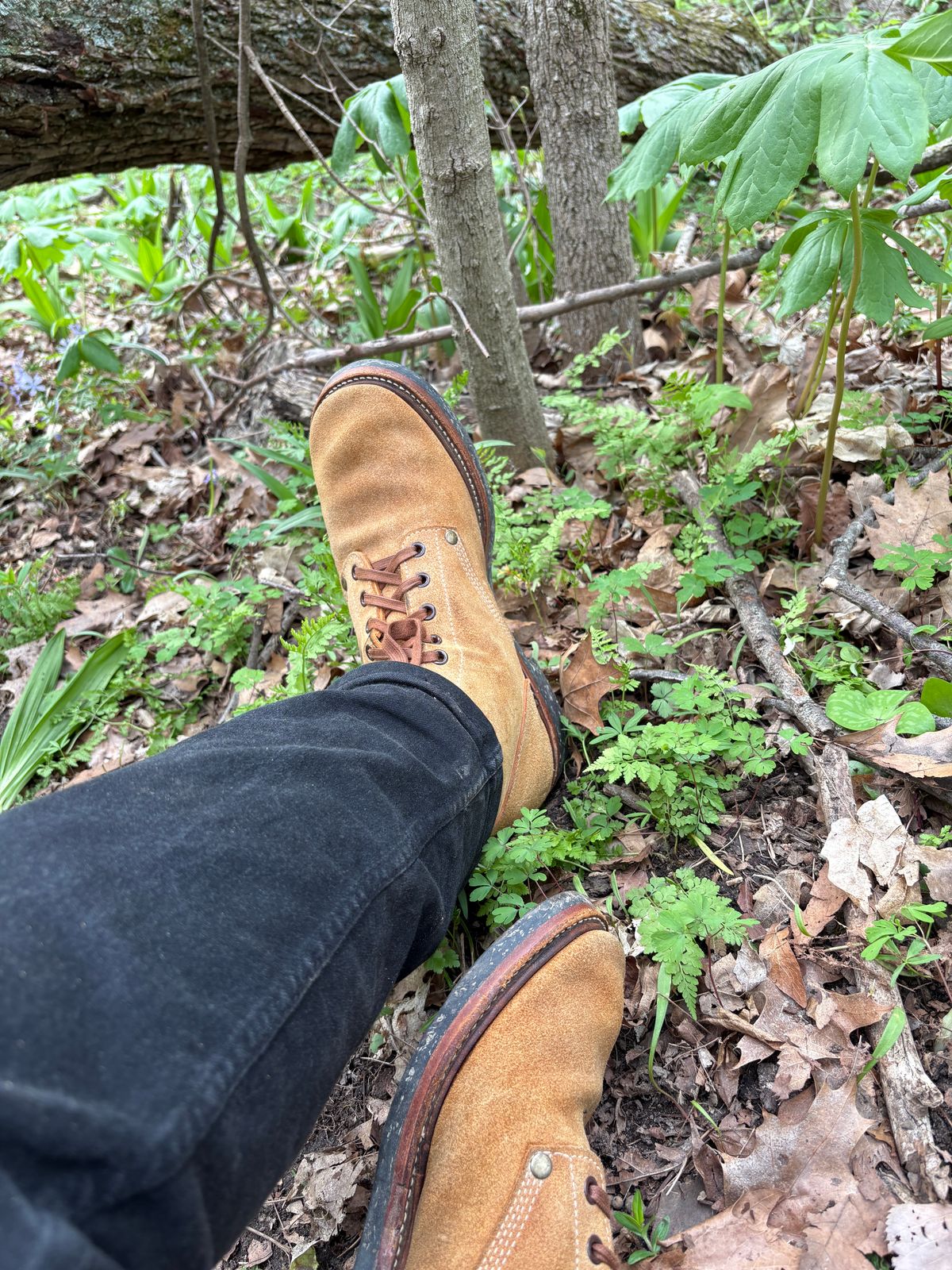 Photo by RTRSnk004 on April 15, 2026 of the Buzz Rickson’s X Unsung House M43 Service Boot in Combination-tanned Camel Cowhide.