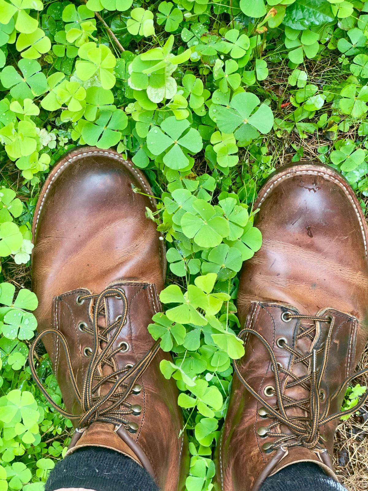 Photo by johndavid on April 5, 2026 of the Red Wing Blacksmith in S.B. Foot Copper Rough and Tough.