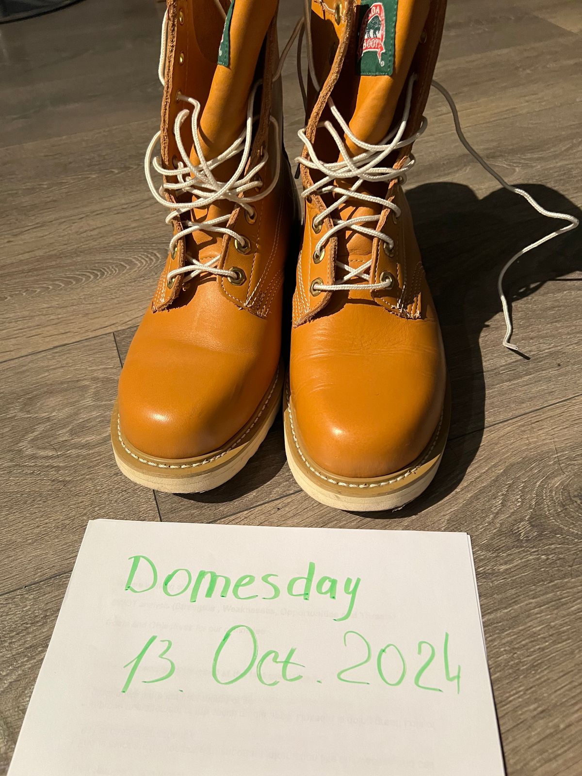 Photo by julia on October 14, 2024 of the Canada West Boots Unknown Model in Unknown Leather.