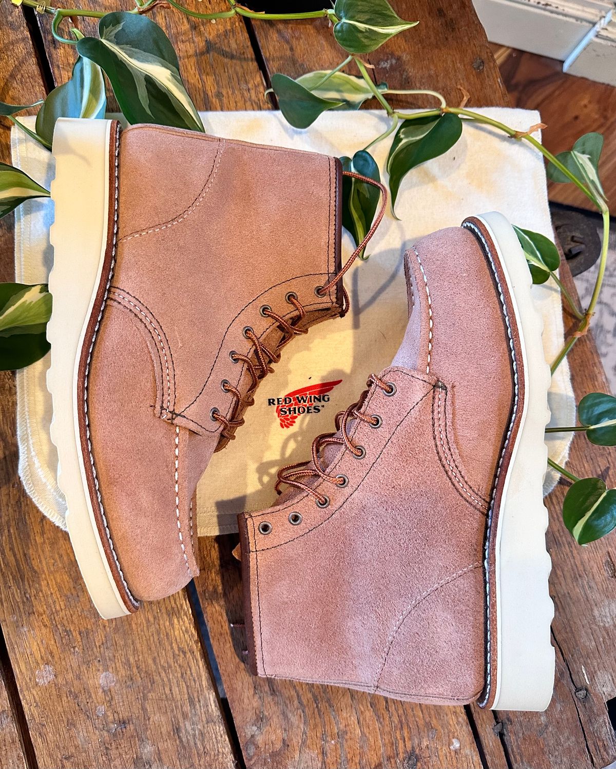 Photo by jbiondo on October 2, 2024 of the Red Wing 6-Inch Classic Moc in S.B. Foote Dusty Rose Abilene.