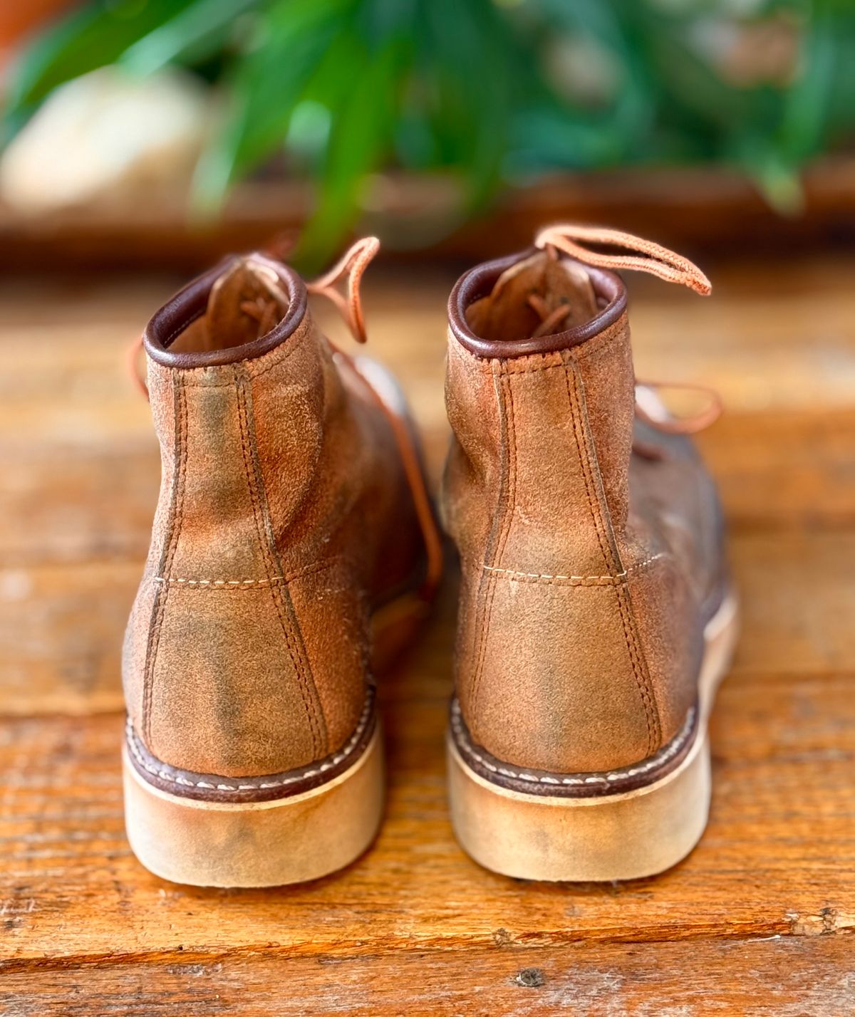 Photo by jbiondo on April 5, 2025 of the Red Wing 6-Inch Classic Moc in S.B. Foote Dusty Rose Abilene.