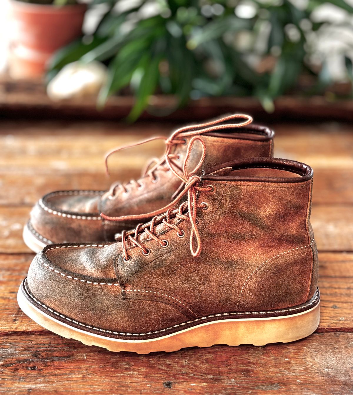 Photo by jbiondo on April 5, 2025 of the Red Wing 6-Inch Classic Moc in S.B. Foote Dusty Rose Abilene.