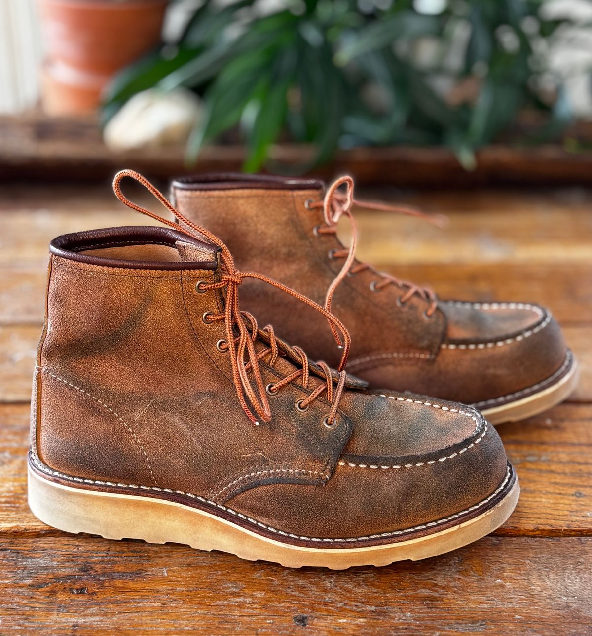 Photo by jbiondo on April 5, 2025 of the Red Wing 6-Inch Classic Moc in S.B. Foote Dusty Rose Abilene.