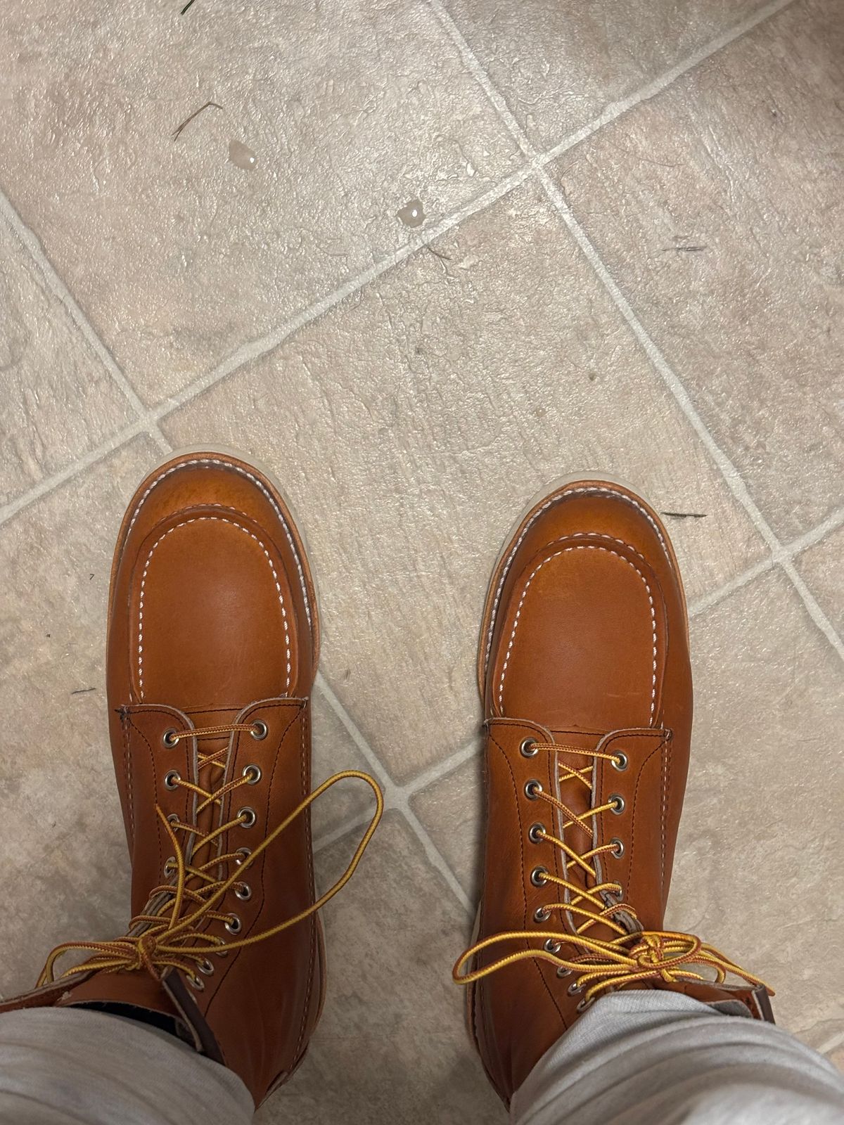 Photo by Buckeye172 on November 22, 2025 of the Red Wing 8-Inch Classic Moc in S.B. Foot Oro Legacy.