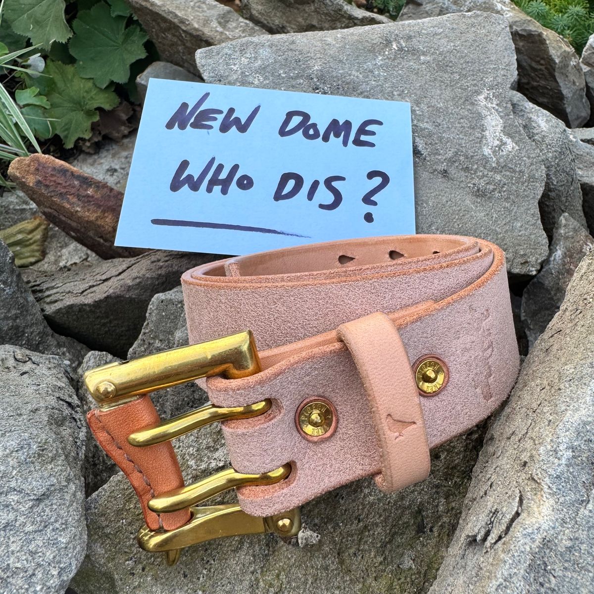 Photo by Mister_Brue on October 5, 2025 of the Pigeon Tree Double Prong Quick Release Belt in Hermann Oak Natural Roughout.