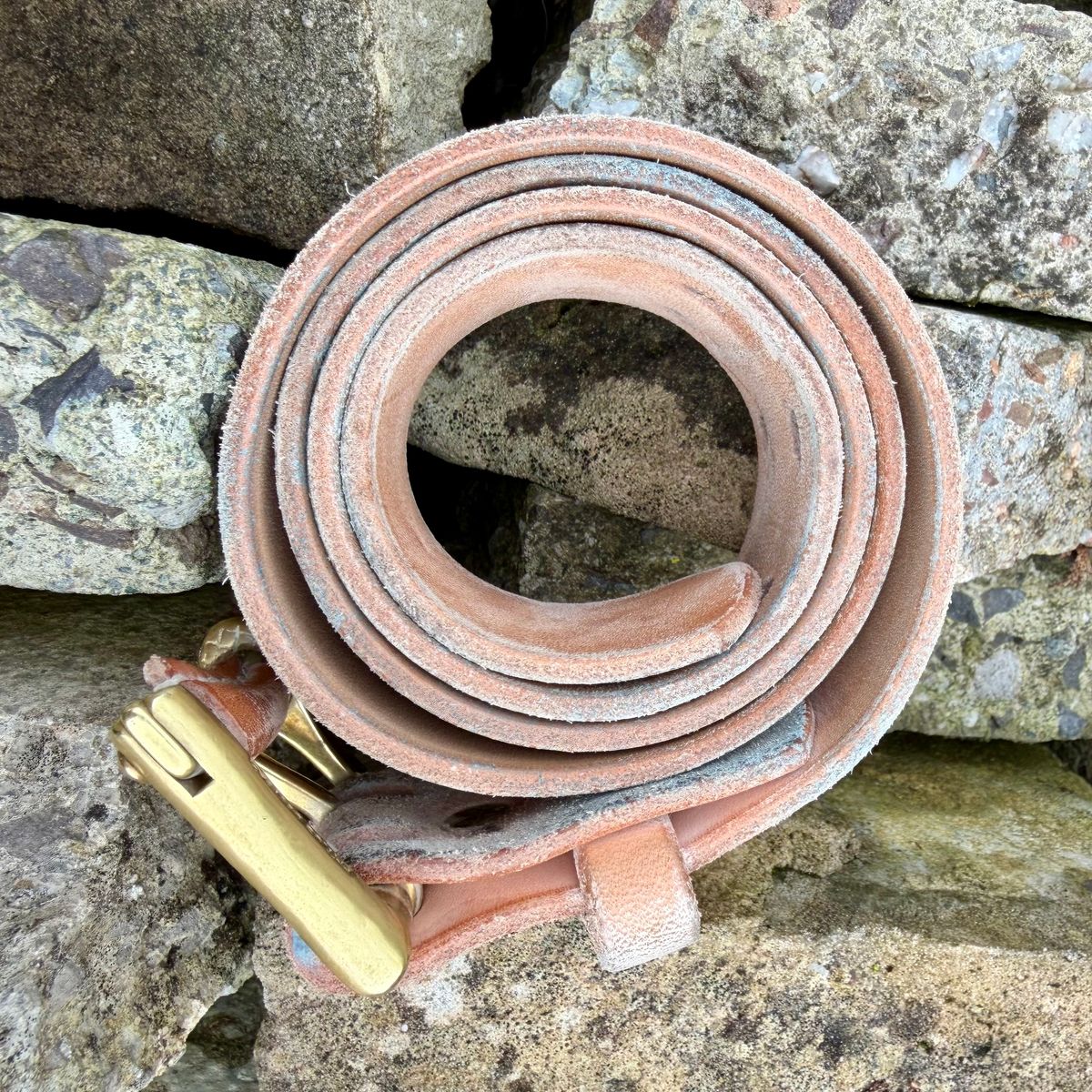 Photo by Mister_Brue on March 1, 2026 of the Pigeon Tree Double Prong Quick Release Belt in Hermann Oak Natural Roughout.