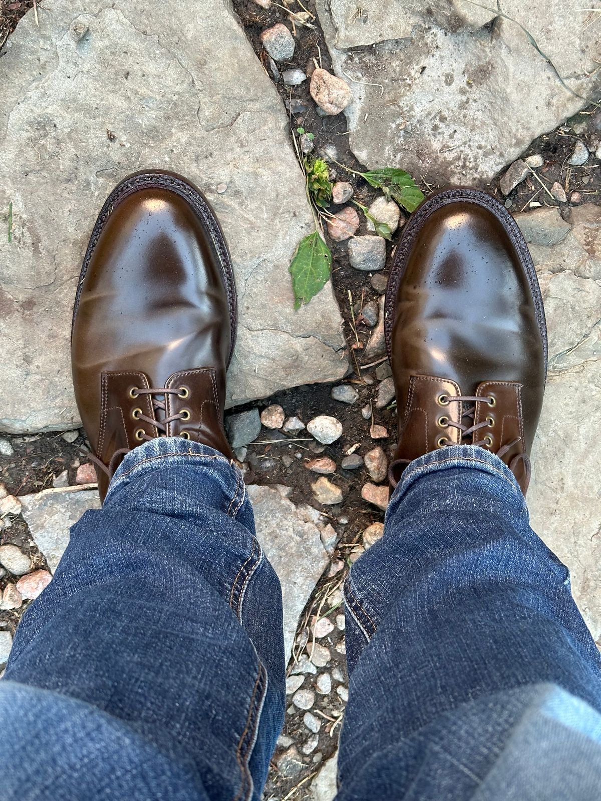 Photo by bootguy on October 2, 2024 of the Grant Stone Edward Boot in Horween Maduro Shell Cordovan.