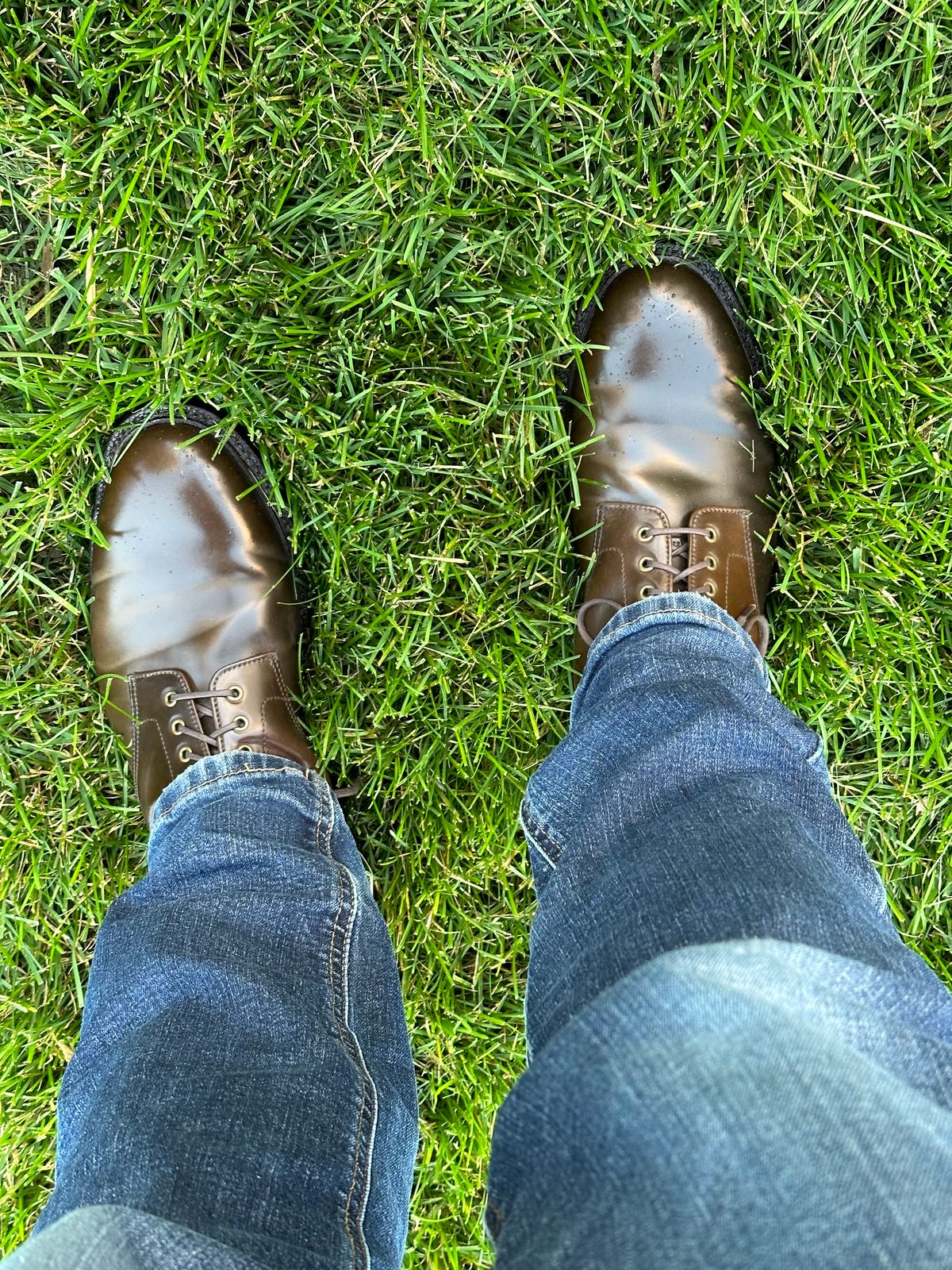 Photo by bootguy on October 2, 2024 of the Grant Stone Edward Boot in Horween Maduro Shell Cordovan.