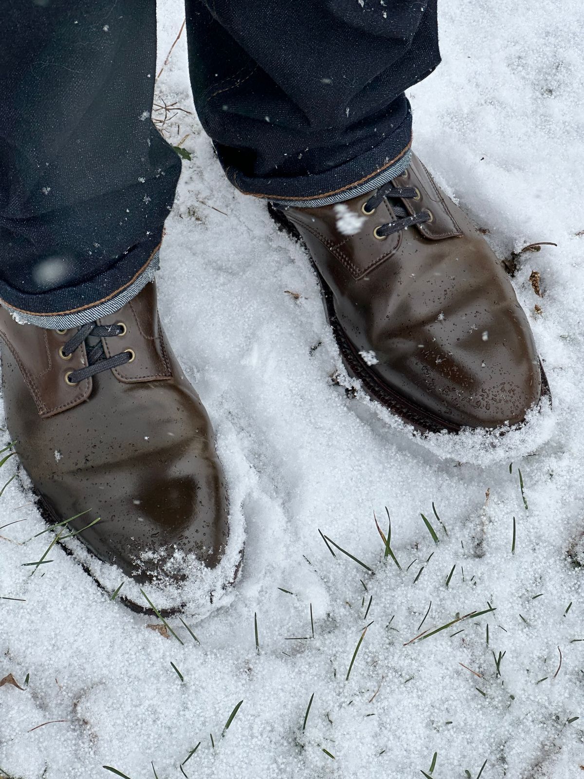 Photo by bootguy on December 4, 2024 of the Grant Stone Edward Boot in Horween Maduro Shell Cordovan.