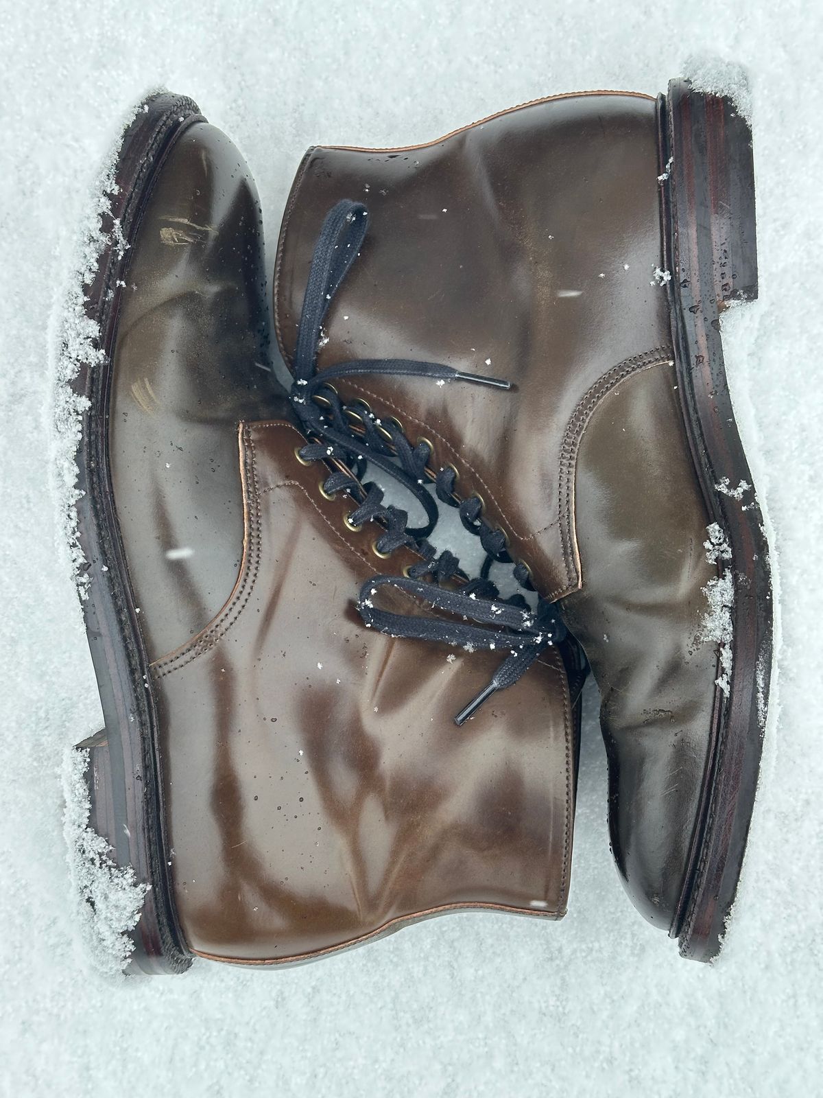 Photo by bootguy on December 4, 2024 of the Grant Stone Edward Boot in Horween Maduro Shell Cordovan.