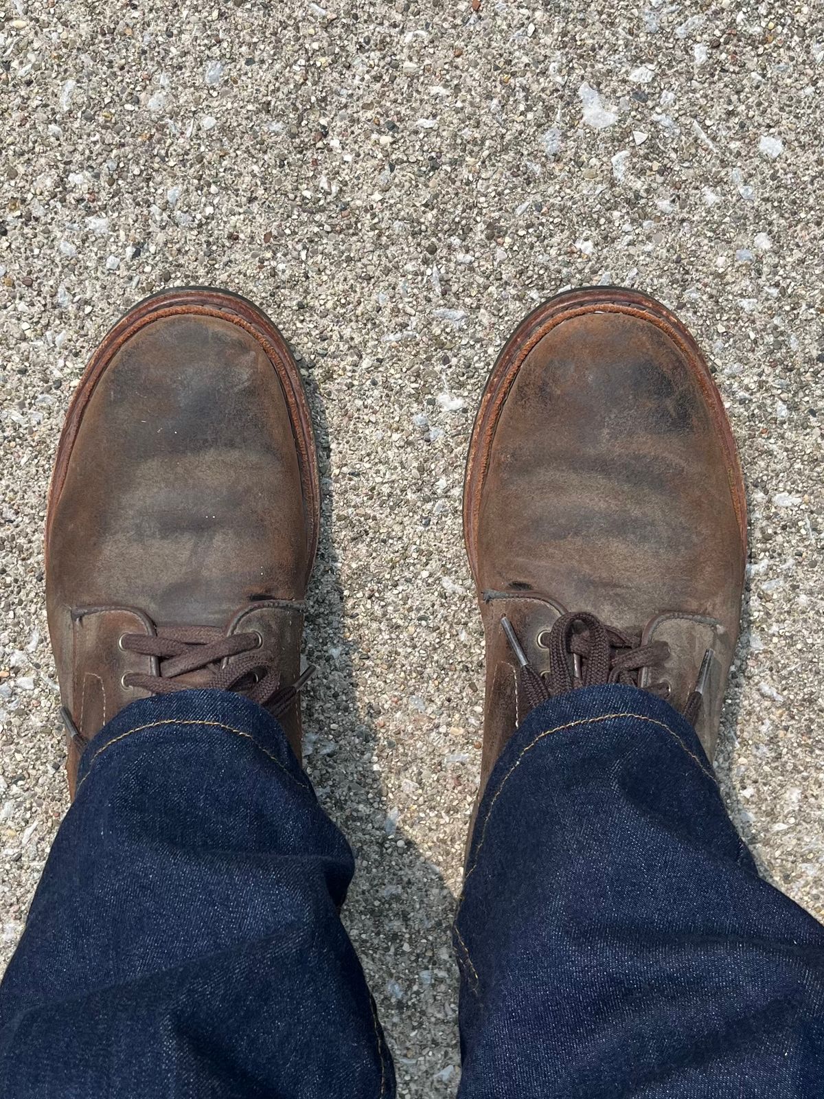 Photo by pbrunese on September 5, 2025 of the Allen Edmonds Higgins Mill in C.F. Stead Snuff Waxy Commander Suede.