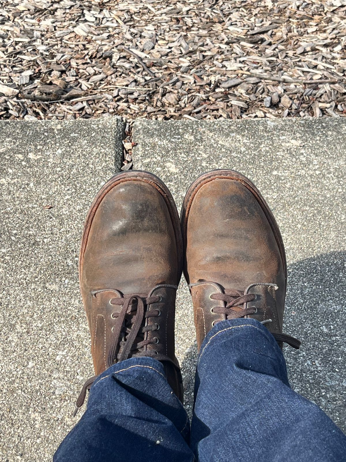 Photo by pbrunese on March 29, 2026 of the Allen Edmonds Higgins Mill in C.F. Stead Snuff Waxy Commander Suede.