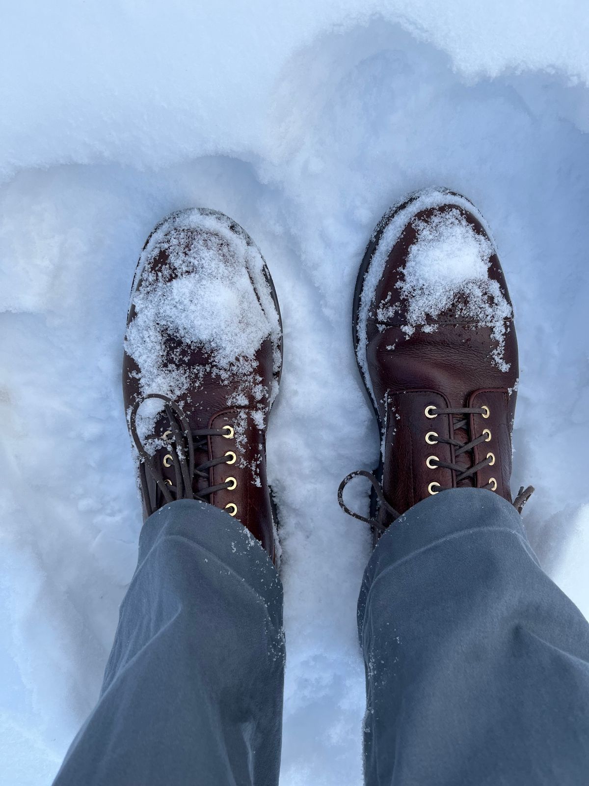 Photo by pbrunese on December 3, 2025 of the Grant Stone Garrison Boot in C.F. Stead Crimson Classic Kudu.