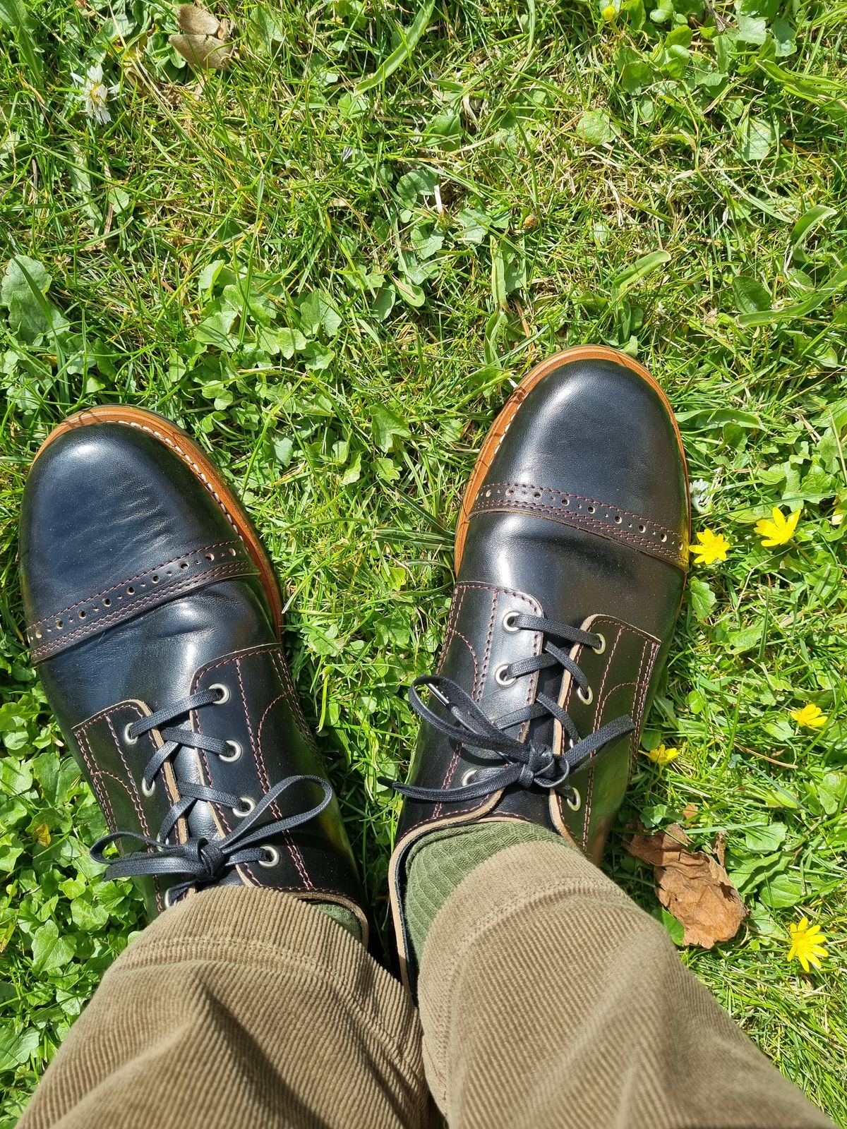 Photo by JSD on April 8, 2025 of the Argo Oxford Shoes Winch in Maryam Black Horsebutt.