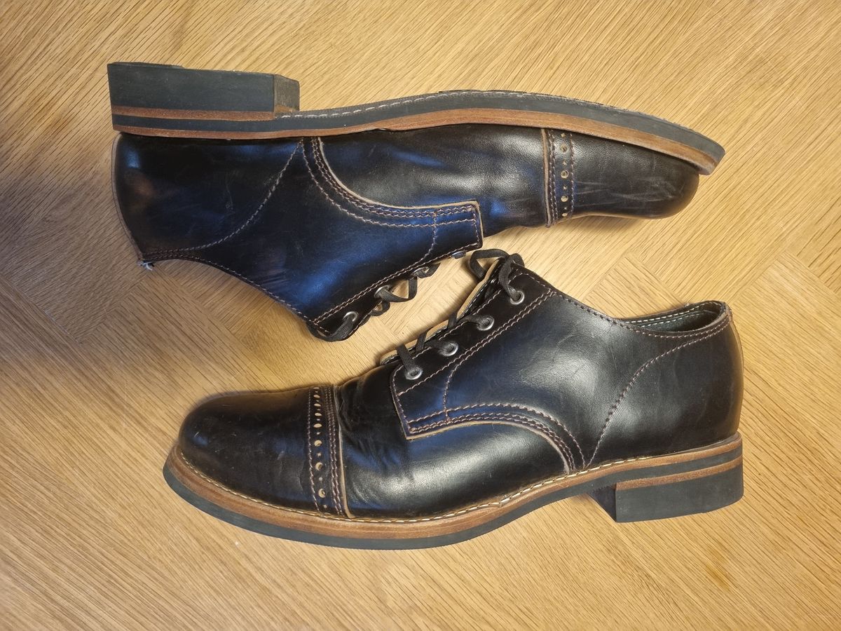 Photo by JSD on April 20, 2025 of the Argo Oxford Shoes Winch in Maryam Black Horsebutt.