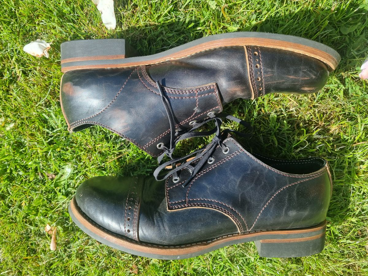 Photo by JSD on April 29, 2025 of the Argo Oxford Shoes Winch in Maryam Black Horsebutt.