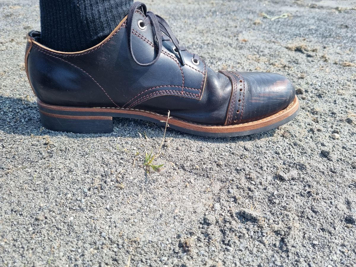 Photo by JSD on June 8, 2025 of the Argo Oxford Shoes Winch in Maryam Black Horsebutt.