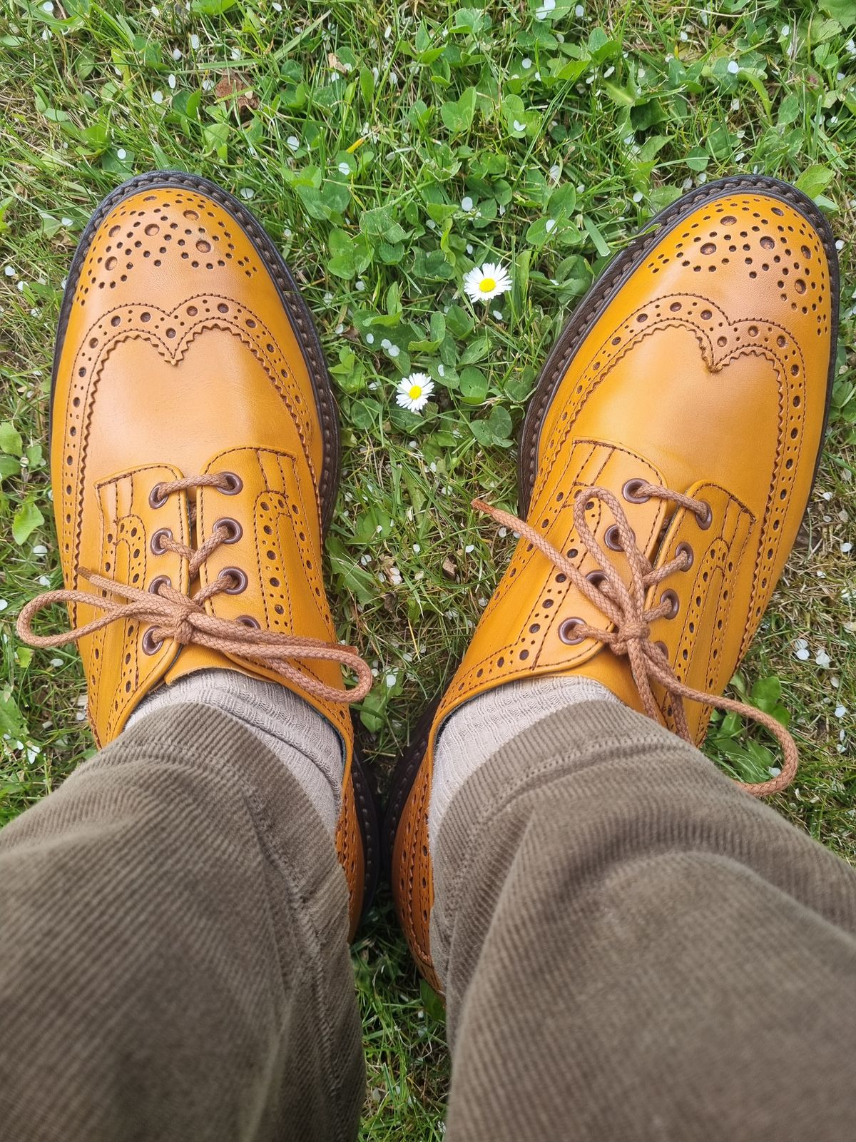 Photo by JSD on May 26, 2025 of the Tricker's Bourton Country Shoe in Acorn Antique Olivvia Classic.