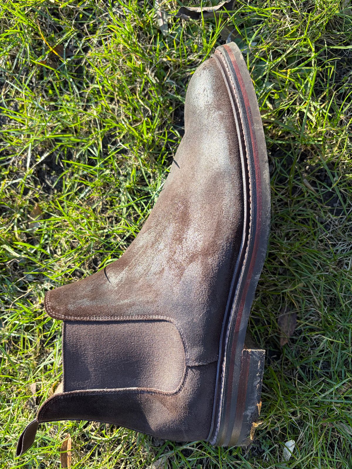 Photo by JSD on March 4, 2026 of the Crockett & Jones Chelsea 11 in Dark Brown Roughout Suede.