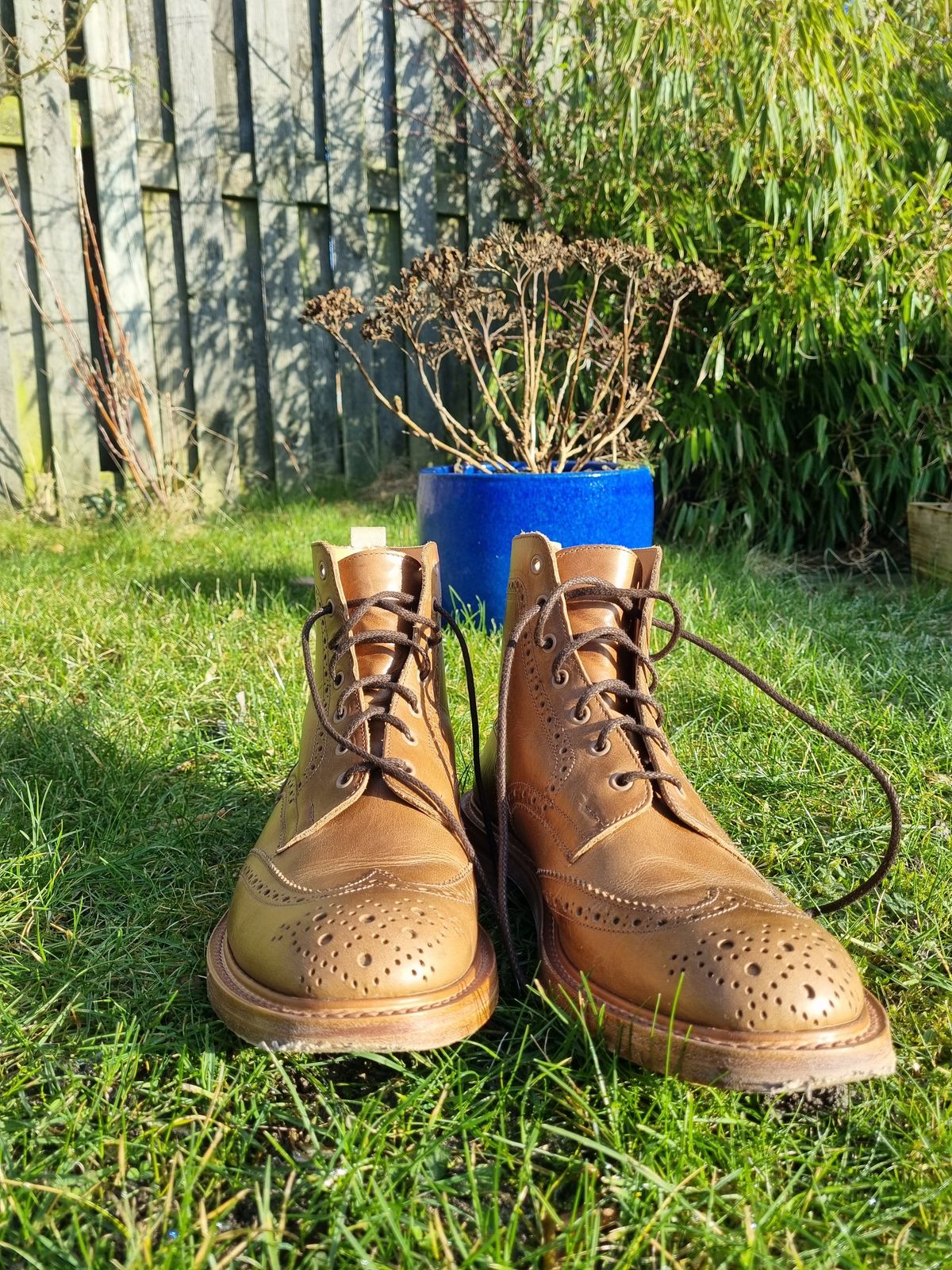 Photo by JSD on February 19, 2025 of the Tricker's Stow Country Boot in Horween Natural Chromexcel.
