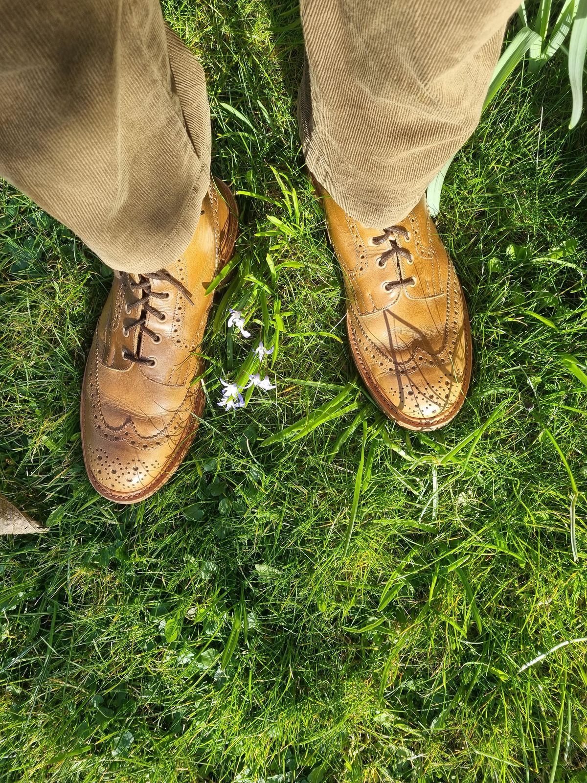 Photo by JSD on March 19, 2025 of the Tricker's Stow Country Boot in Horween Natural Chromexcel.