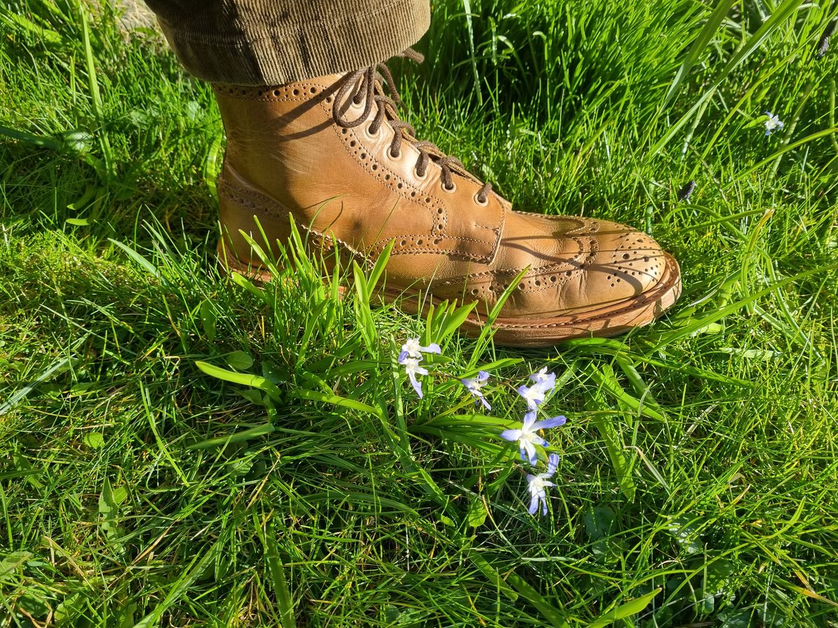 Photo by JSD on March 19, 2025 of the Tricker's Stow Country Boot in Horween Natural Chromexcel.