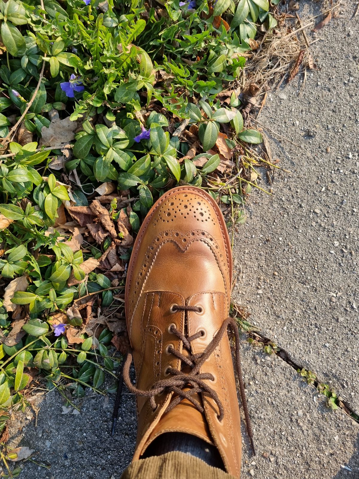 Photo by JSD on March 24, 2025 of the Tricker's Stow Country Boot in Horween Natural Chromexcel.