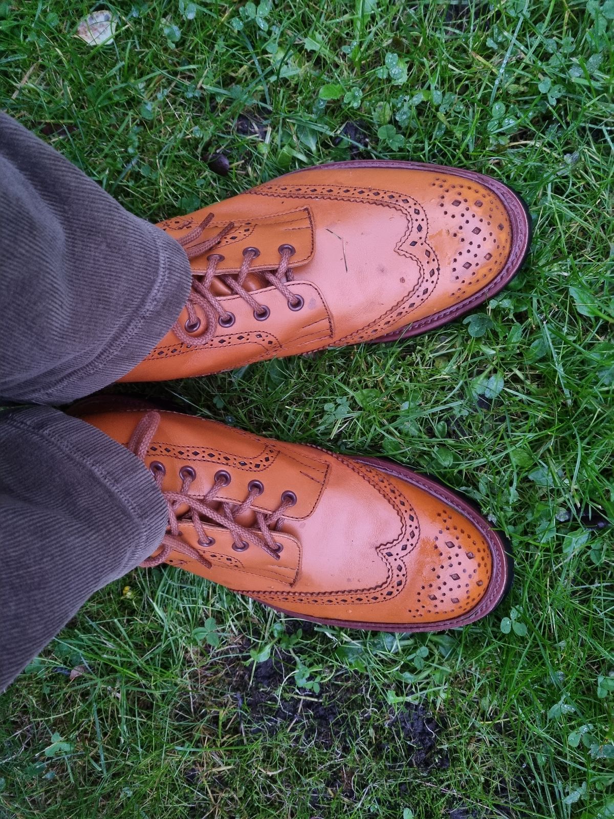 Photo by JSD on October 26, 2025 of the Tricker's Stow Country Boot in Acorn Antique.