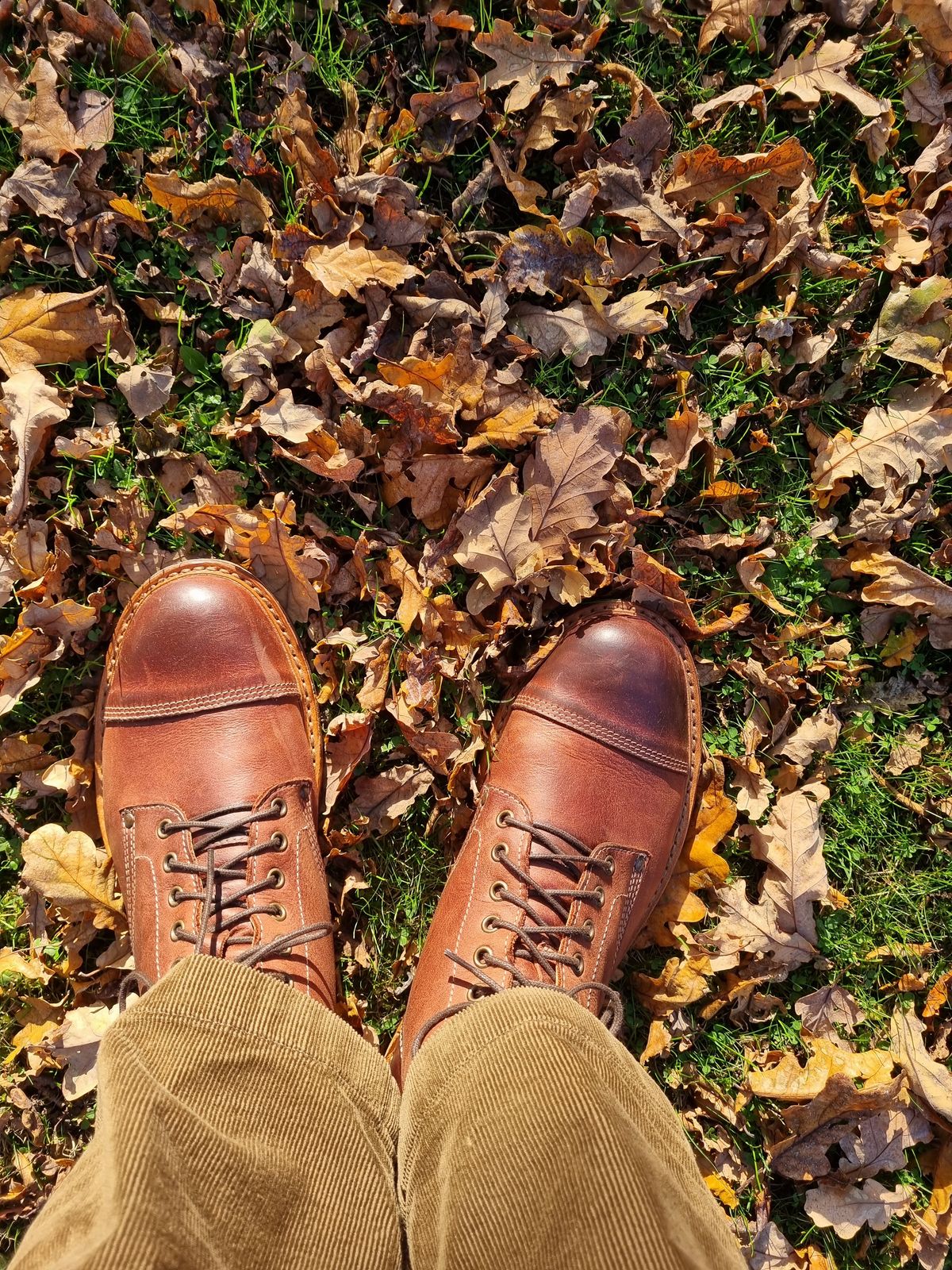 Photo by JSD on October 22, 2024 of the Astorflex Astorflex/ Legendflex in Astorflex / Dark Chestnut.