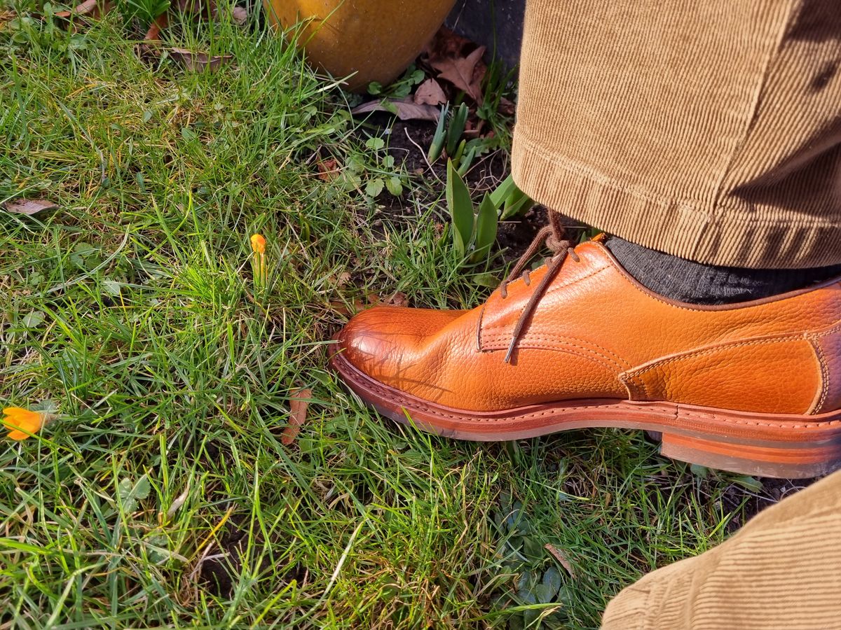 Photo by JSD on March 1, 2025 of the Tricker's Woodstock Derby in Marron Muflone.
