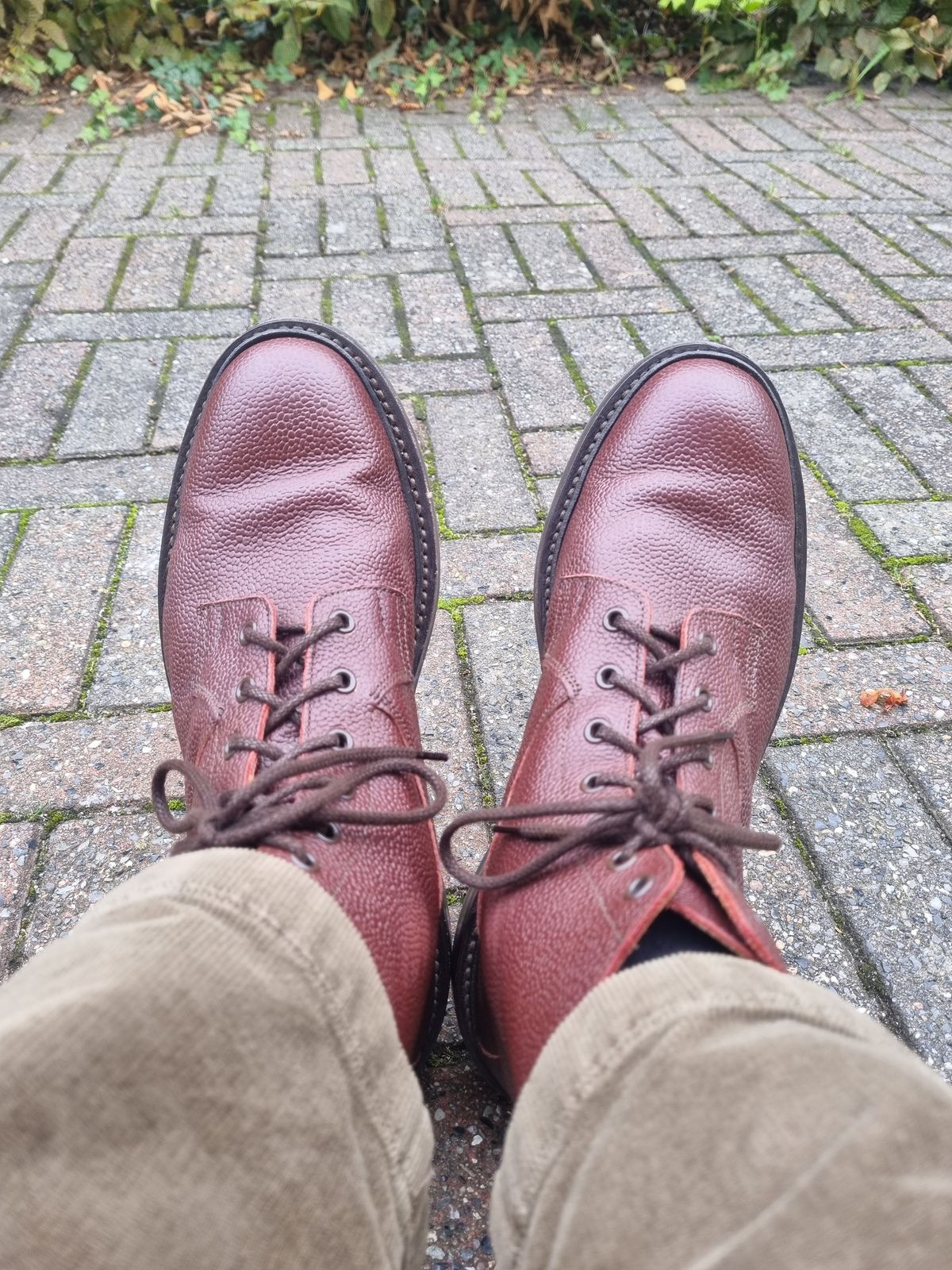Photo by JSD on October 8, 2025 of the Tricker's Burford Country Boot in Brown Zug Grain.