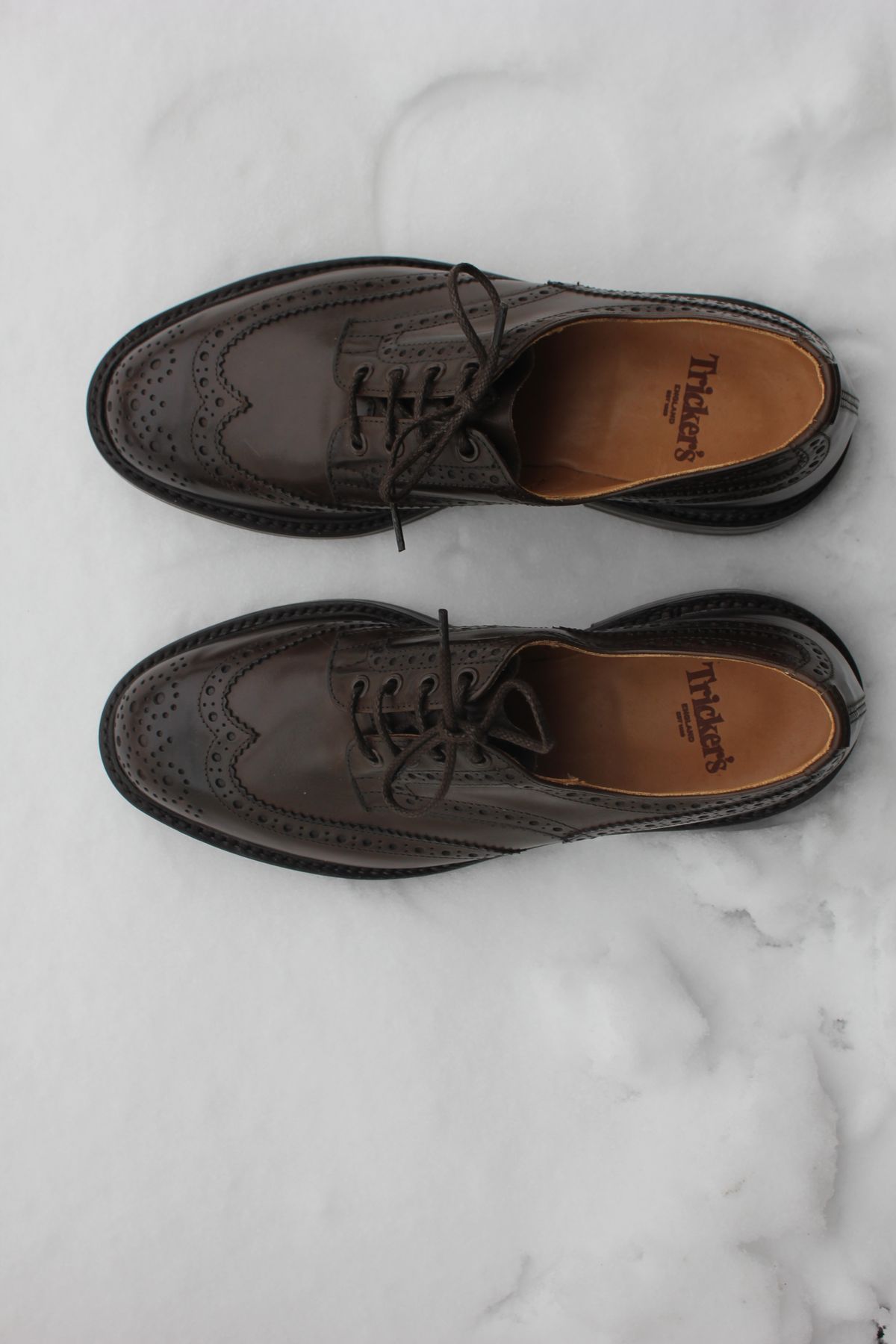 Photo by JSD on February 7, 2026 of the Tricker's Bourton Country Shoe in Espresso Burnished Calf.