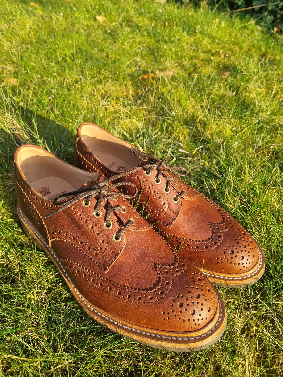 Photo by JSD on March 7, 2025 of the Tricker's Bourton Country Shoe in Whiskey Pampus.