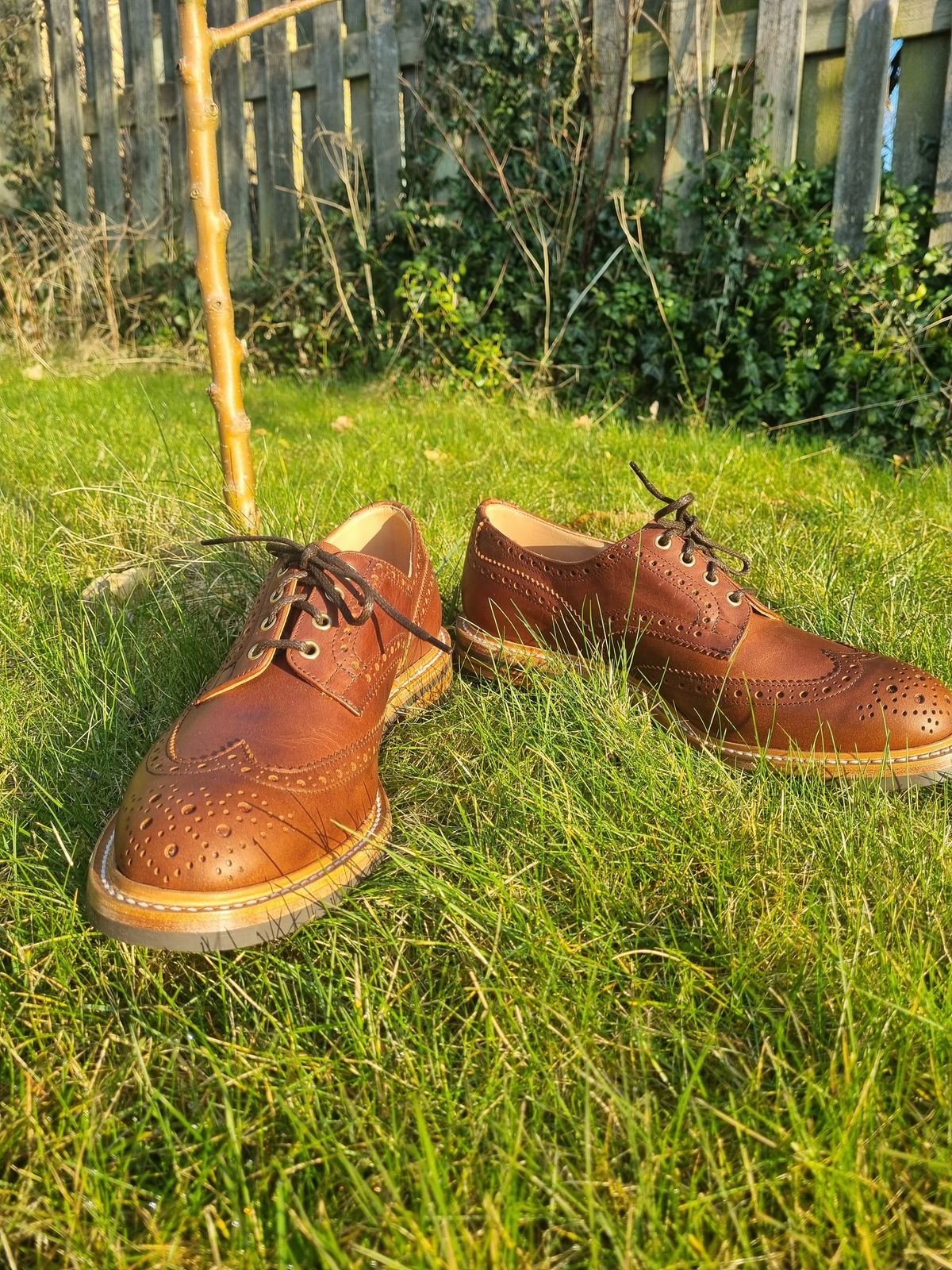 Photo by JSD on March 7, 2025 of the Tricker's Bourton Country Shoe in Whiskey Pampus.