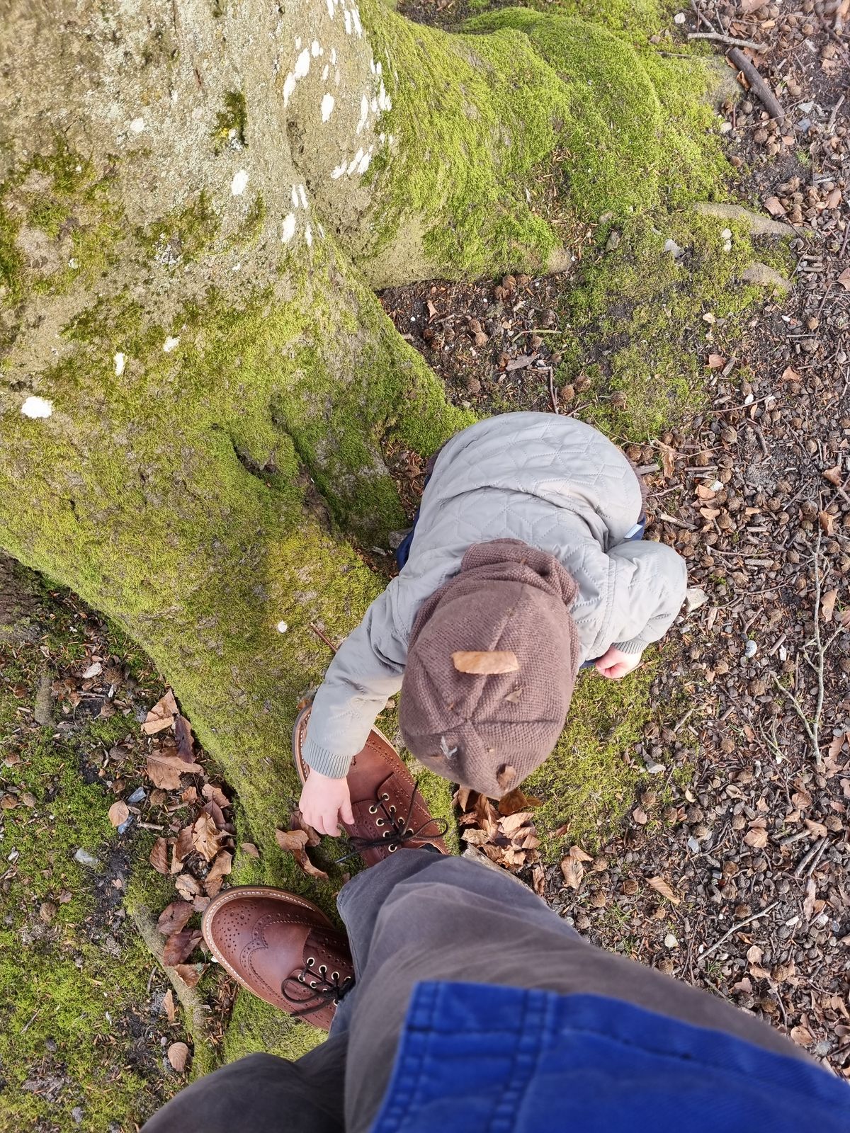 Photo by JSD on March 8, 2025 of the Tricker's Bourton Country Shoe in Whiskey Pampus.