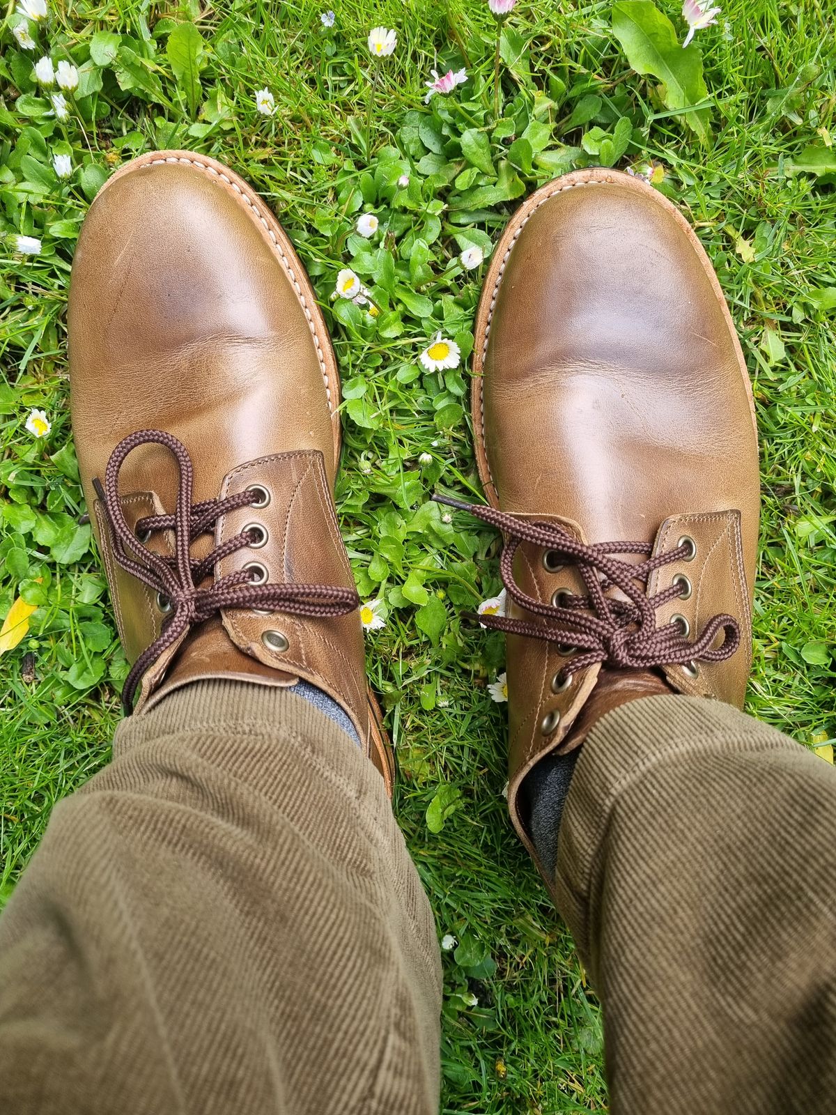 Photo by JSD on May 30, 2025 of the Oak Street Bootmakers Trench Oxford in Horween Natural Chromexcel.