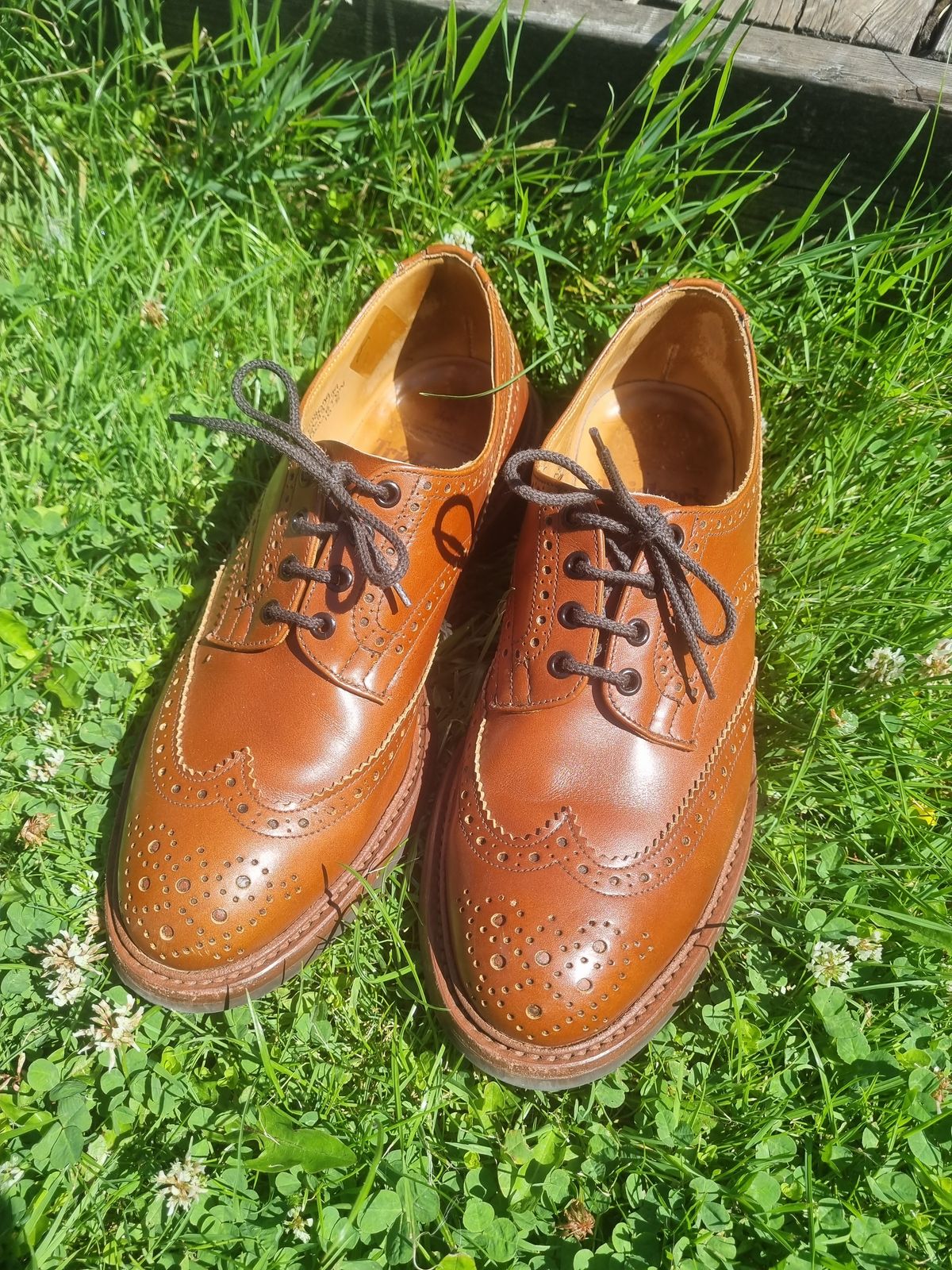 Photo by JSD on July 31, 2025 of the Tricker's Bourton Country Shoe in Marron Antique.