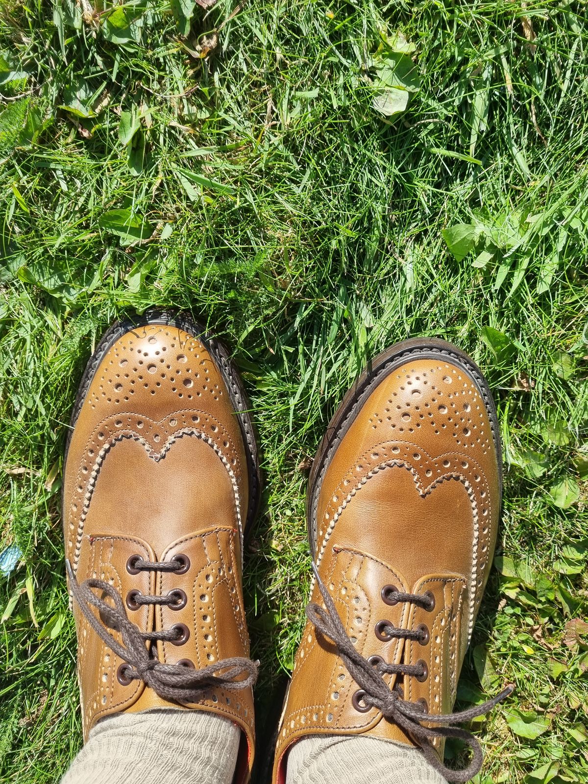 Photo by JSD on August 23, 2025 of the Tricker's Bourton Country Shoe in Horween Wheat Cavalier.