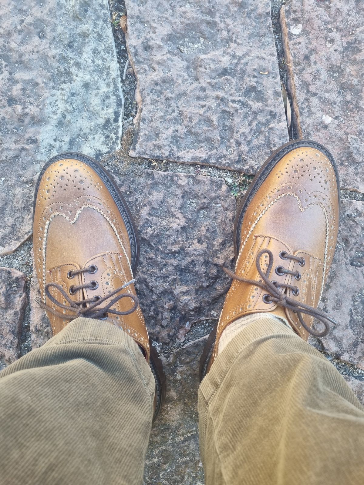 Photo by JSD on August 24, 2025 of the Tricker's Bourton Country Shoe in Horween Wheat Cavalier.