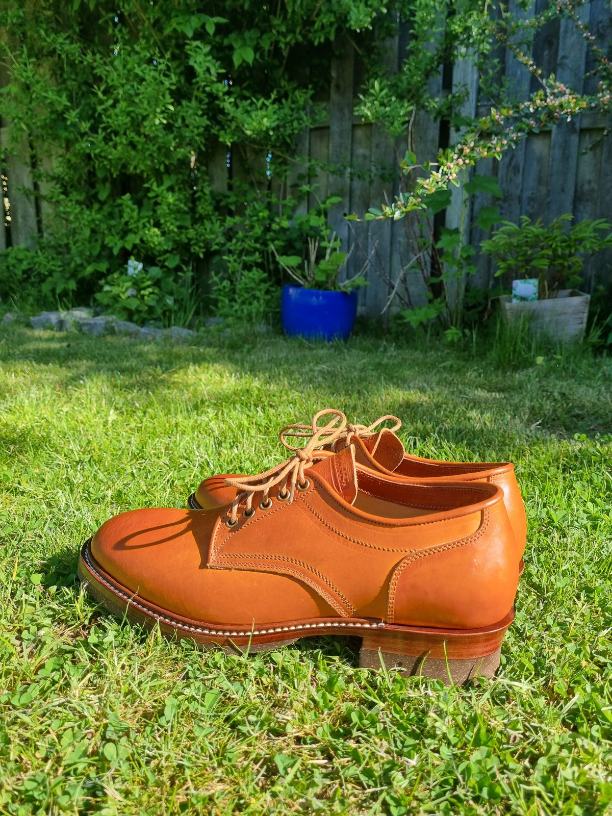 Photo by JSD on May 15, 2025 of the Jakkrabbits Derby Shoes in Badalassi Carlo Olmo Minerva.