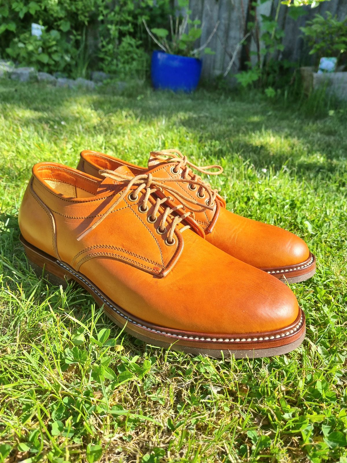 Photo by JSD on May 15, 2025 of the Jakkrabbits Derby Shoes in Badalassi Carlo Olmo Minerva.