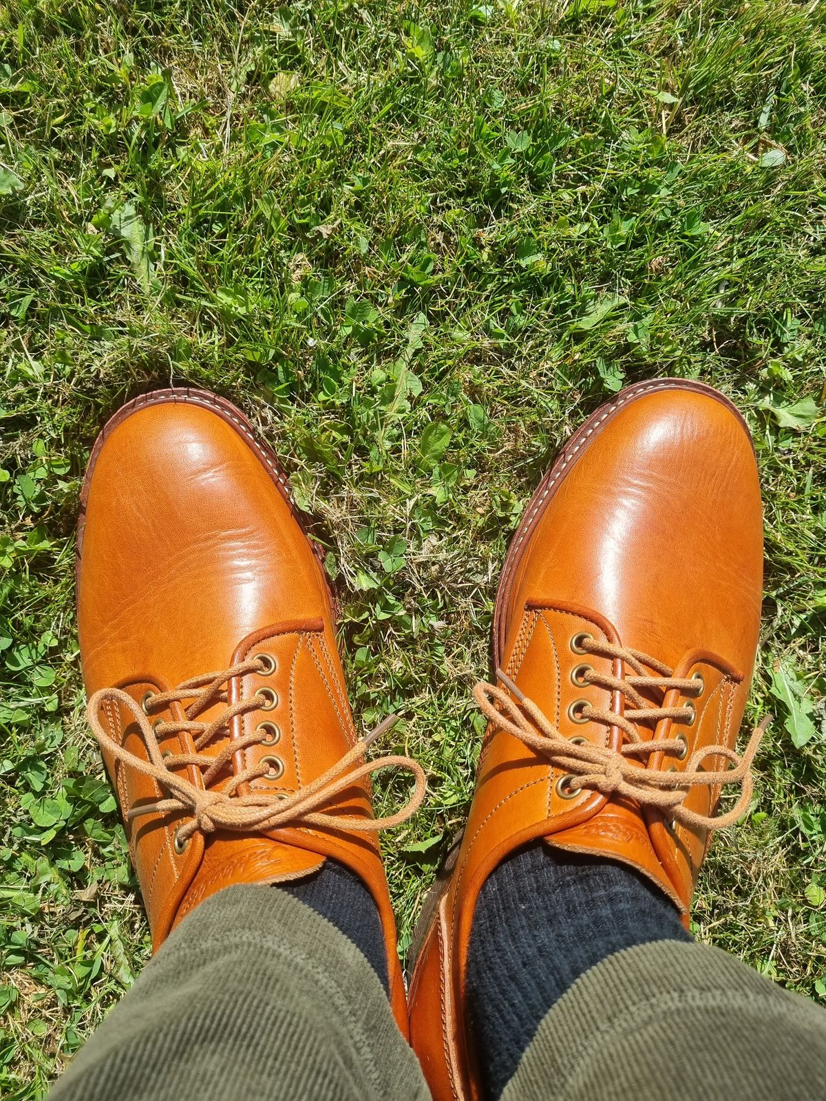Photo by JSD on May 17, 2025 of the Jakkrabbits Derby Shoes in Badalassi Carlo Olmo Minerva.