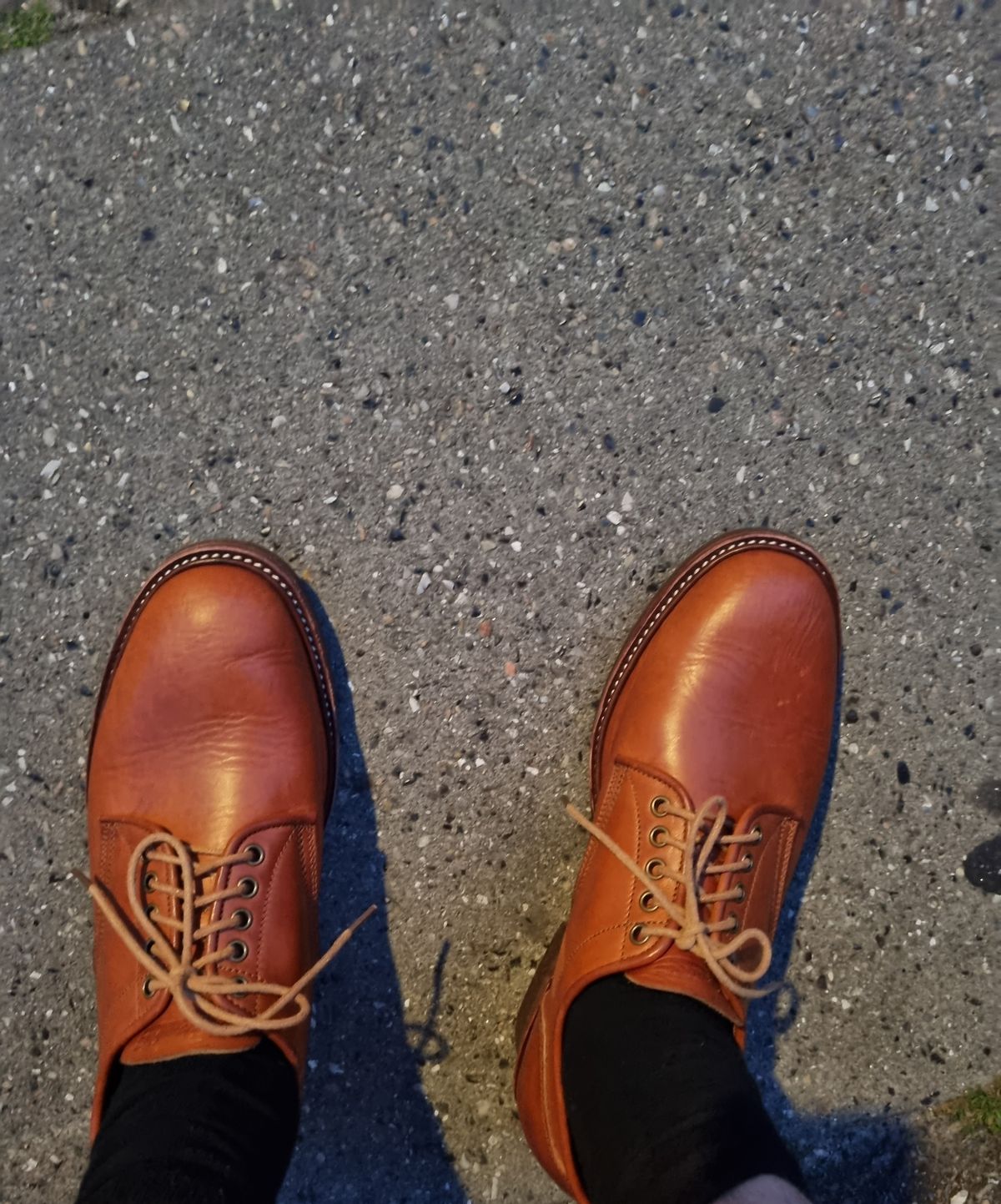 Photo by JSD on June 18, 2025 of the Jakkrabbits Derby Shoes in Badalassi Carlo Olmo Minerva.