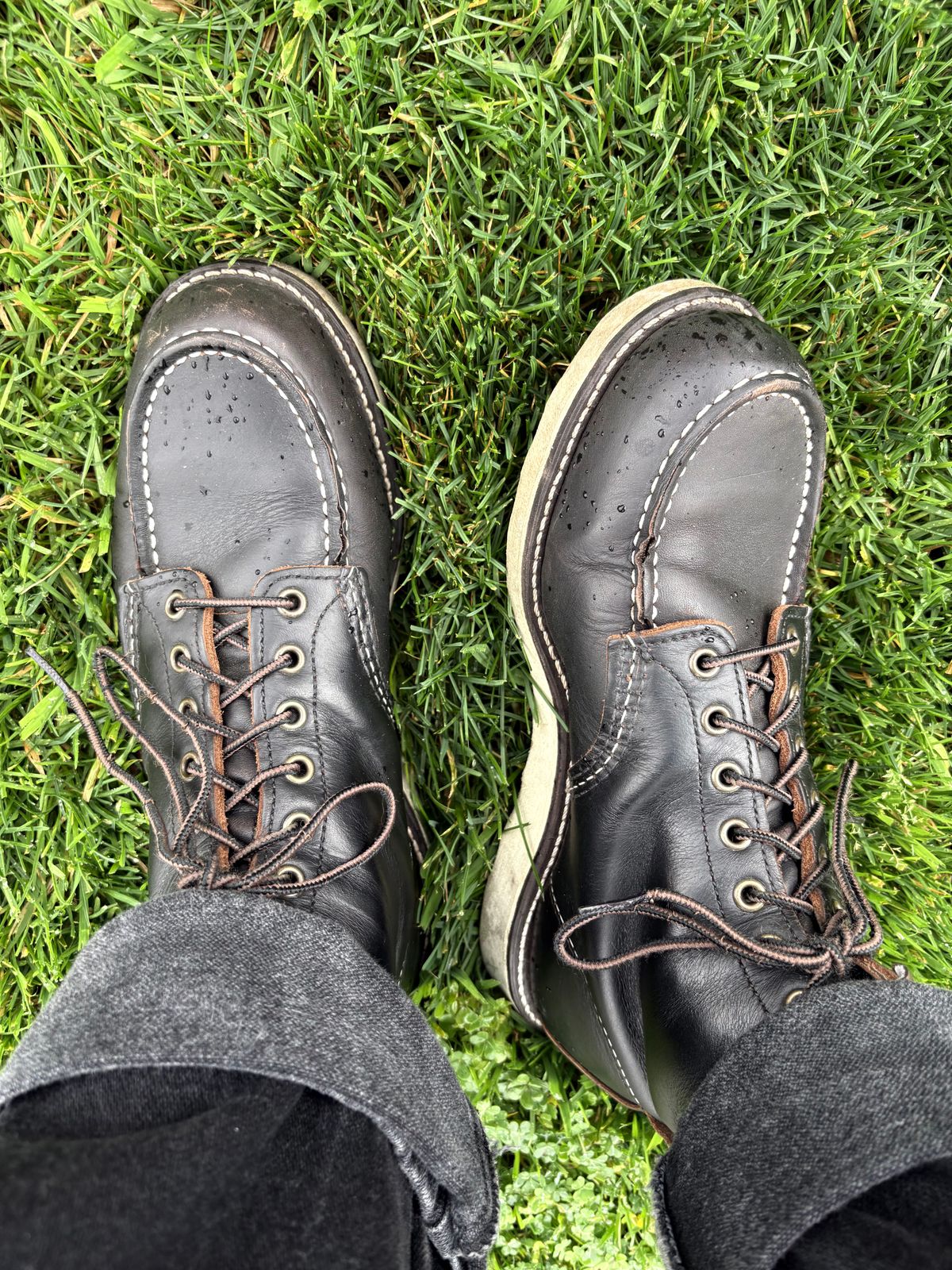 Photo by texasian on March 2, 2026 of the Red Wing 6-Inch Classic Moc in S.B. Foot Black Prairie.