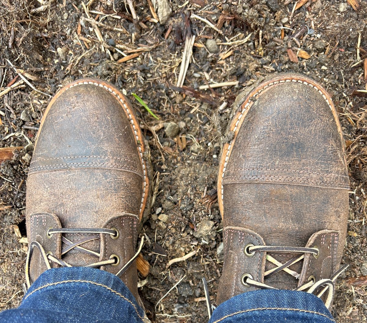 Photo by MennoNaseem on March 3, 2024 of the Truman Cap Toe Boot in C.F. Stead Stone Rambler.