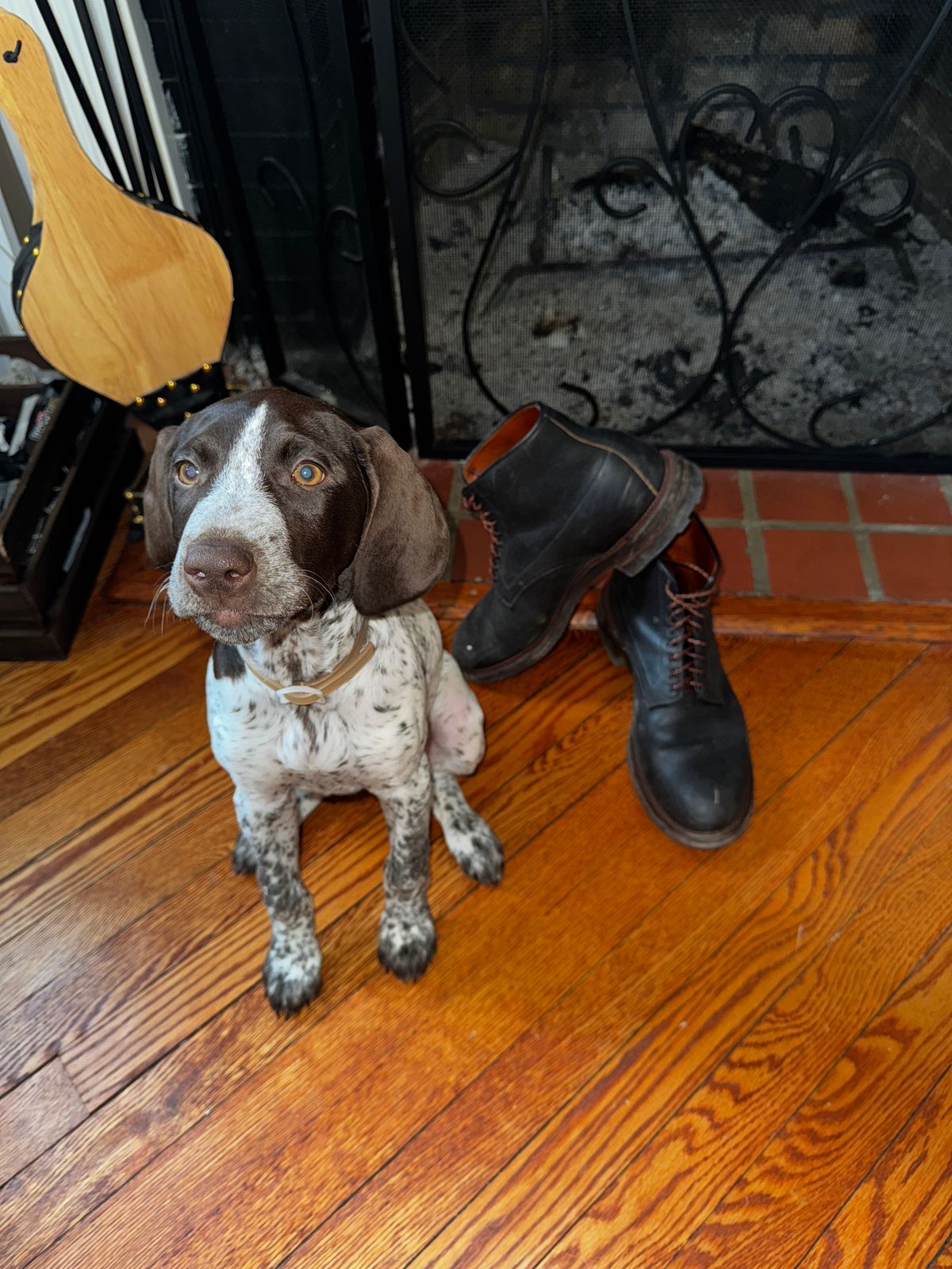 Photo by bigbootyboots on March 1, 2025 of the Viberg Navvy Boot in Horween Washed Chromexcel.